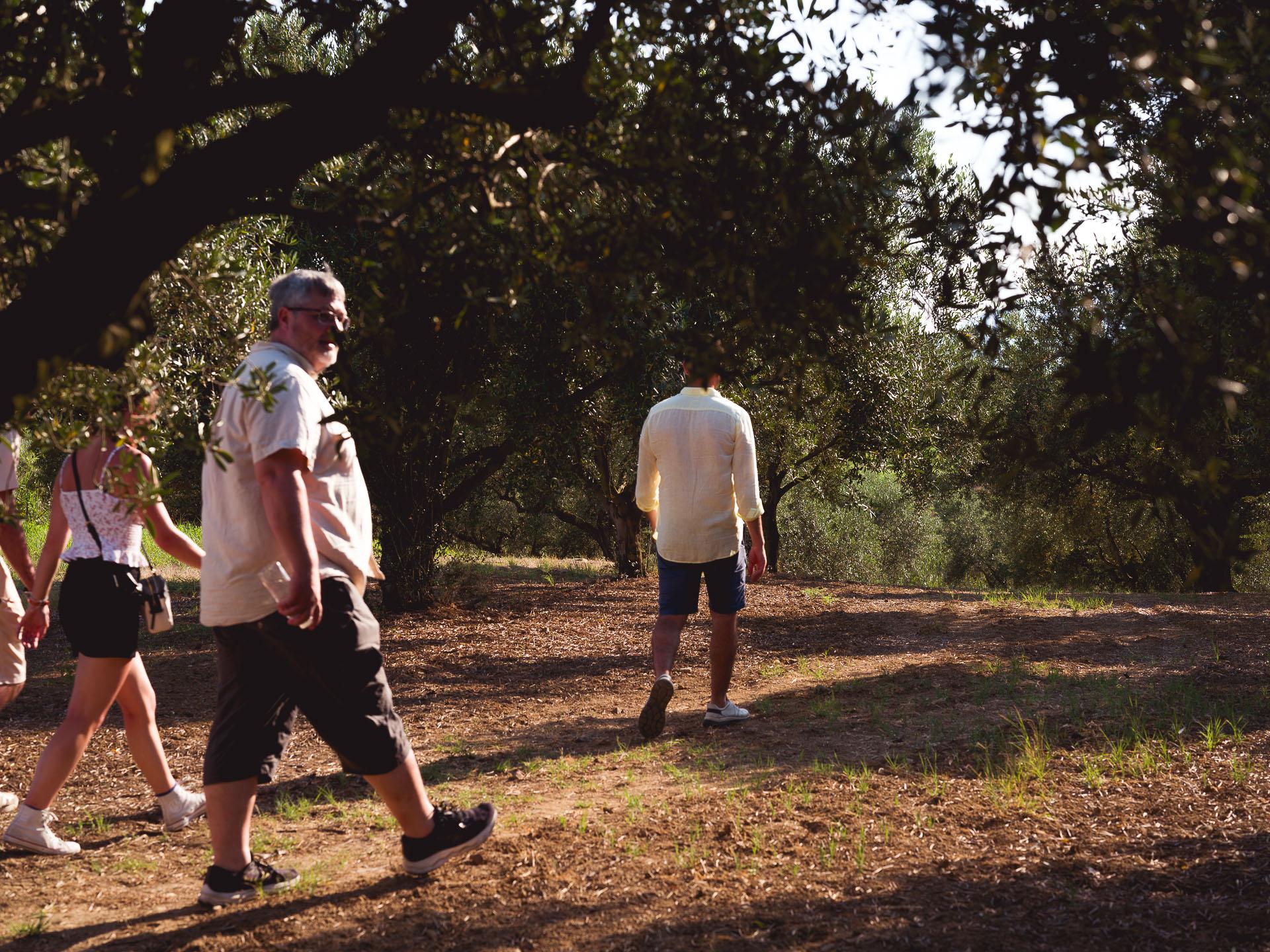 olive oil tasting in Sicily — photo 9