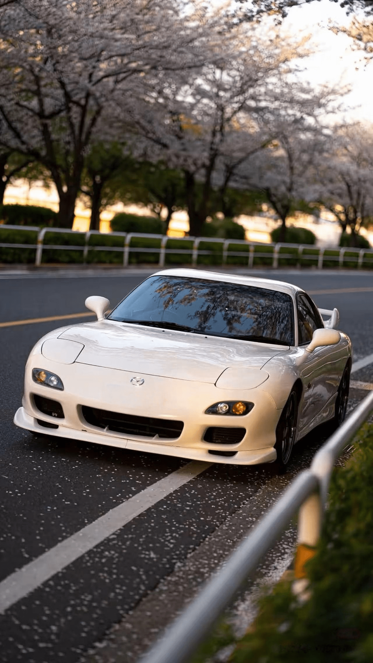 Tokyo JDM Tour: Daikoku PA(Tuned JDM Cars, Skyline GTR, RX7)