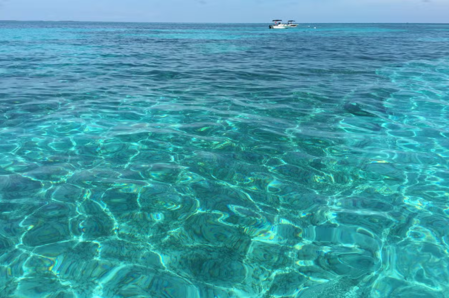 Catalina Island Snorkeling Escape from Miches