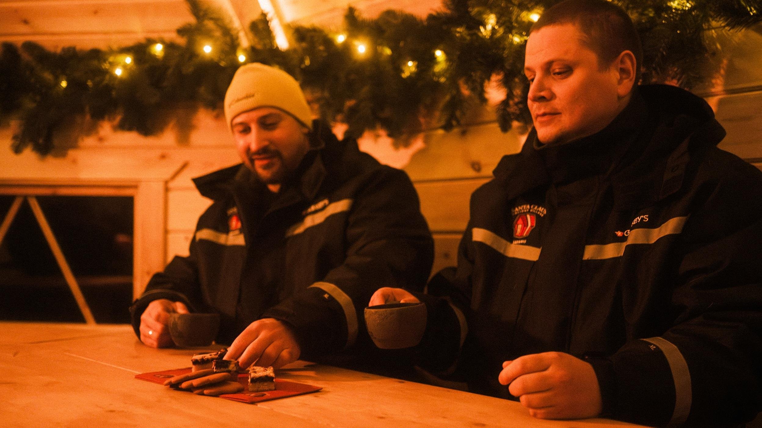 Rovaniemi Nighttime Reindeer Sleigh Safari
