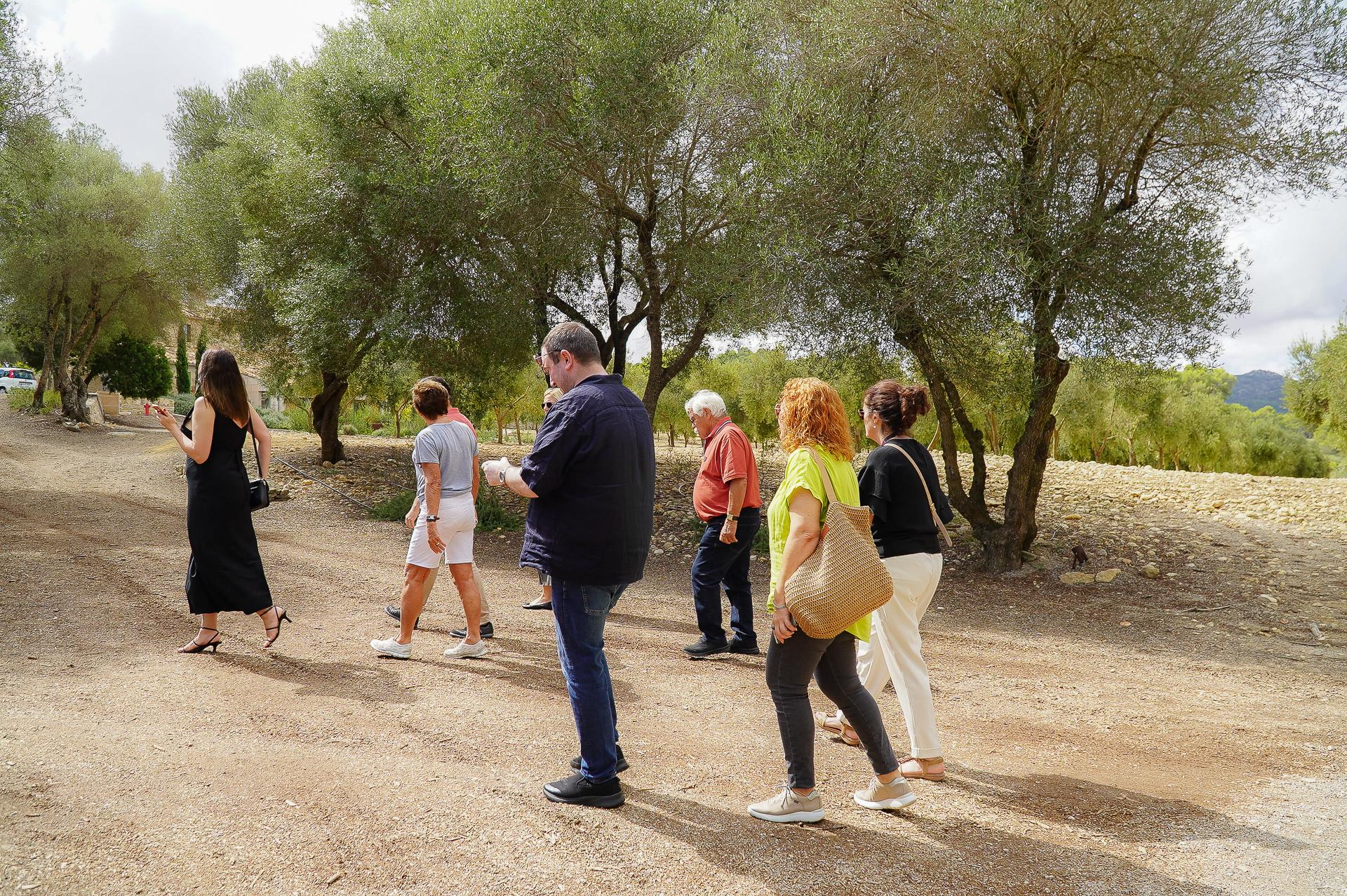 olive oil tasting in Mallorca — photo 18