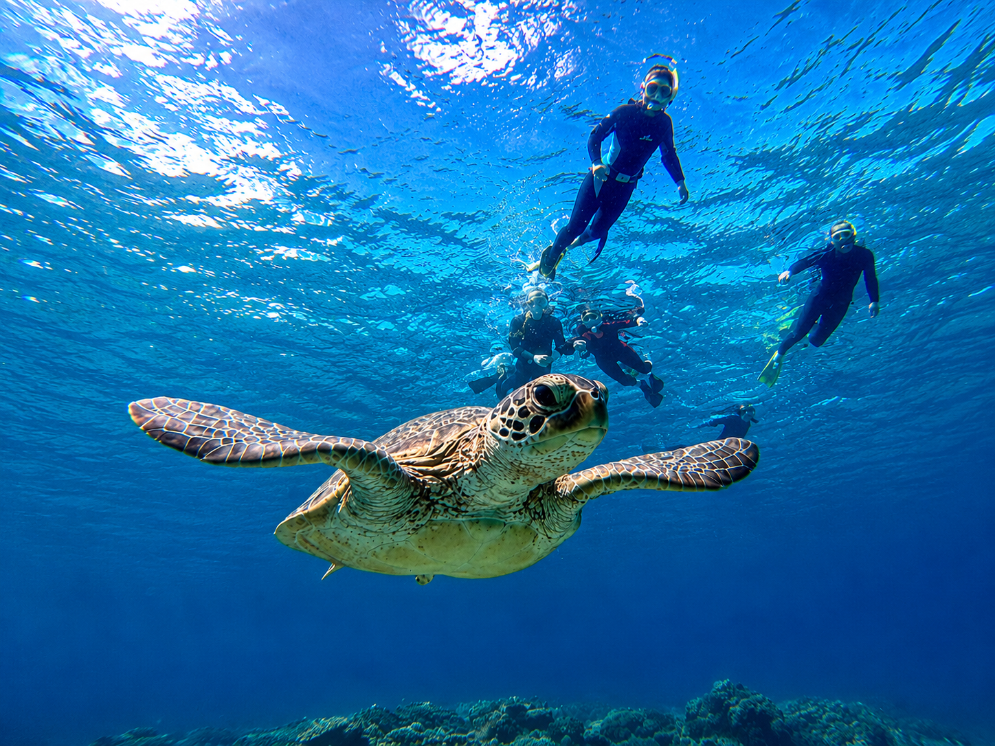 Kerama National Park Snorkeling Adventure