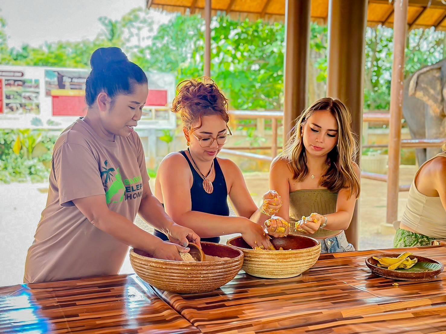Samui: Ethical Elephant Care & Nutrition Workshop