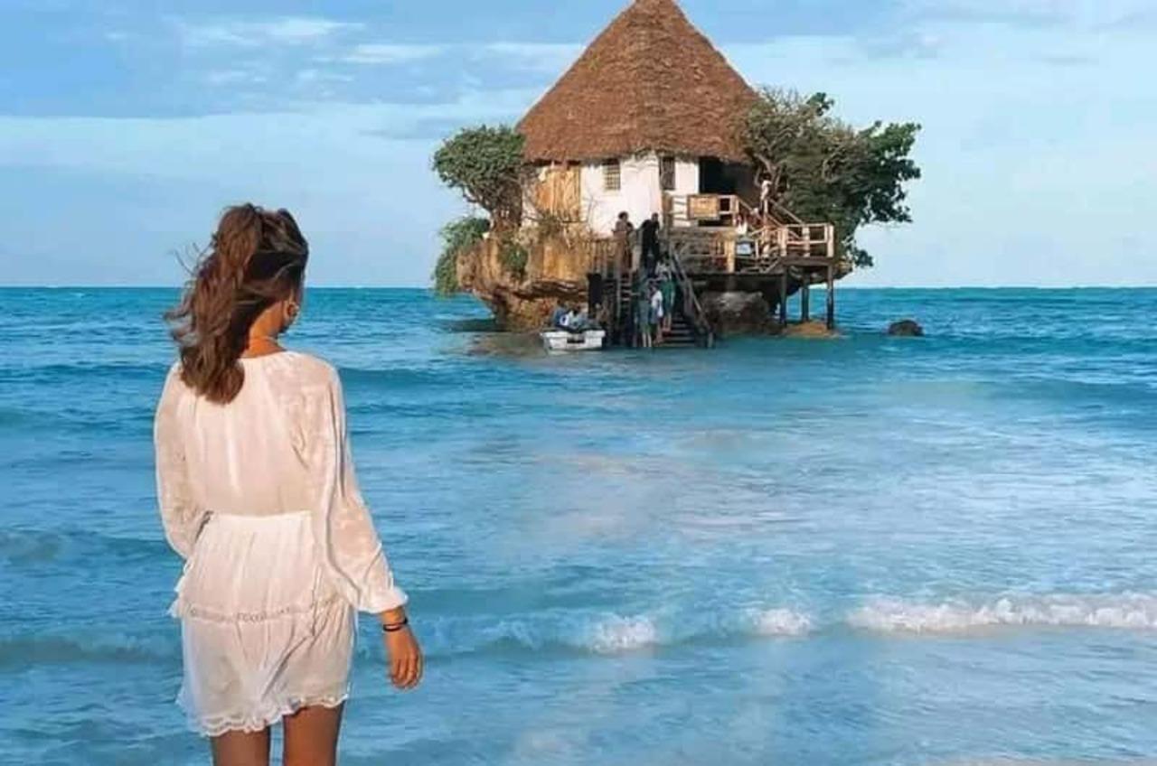 Zanzibar Full-Day: Jozani Forest, Turtle Swim & The Rock Restaurant