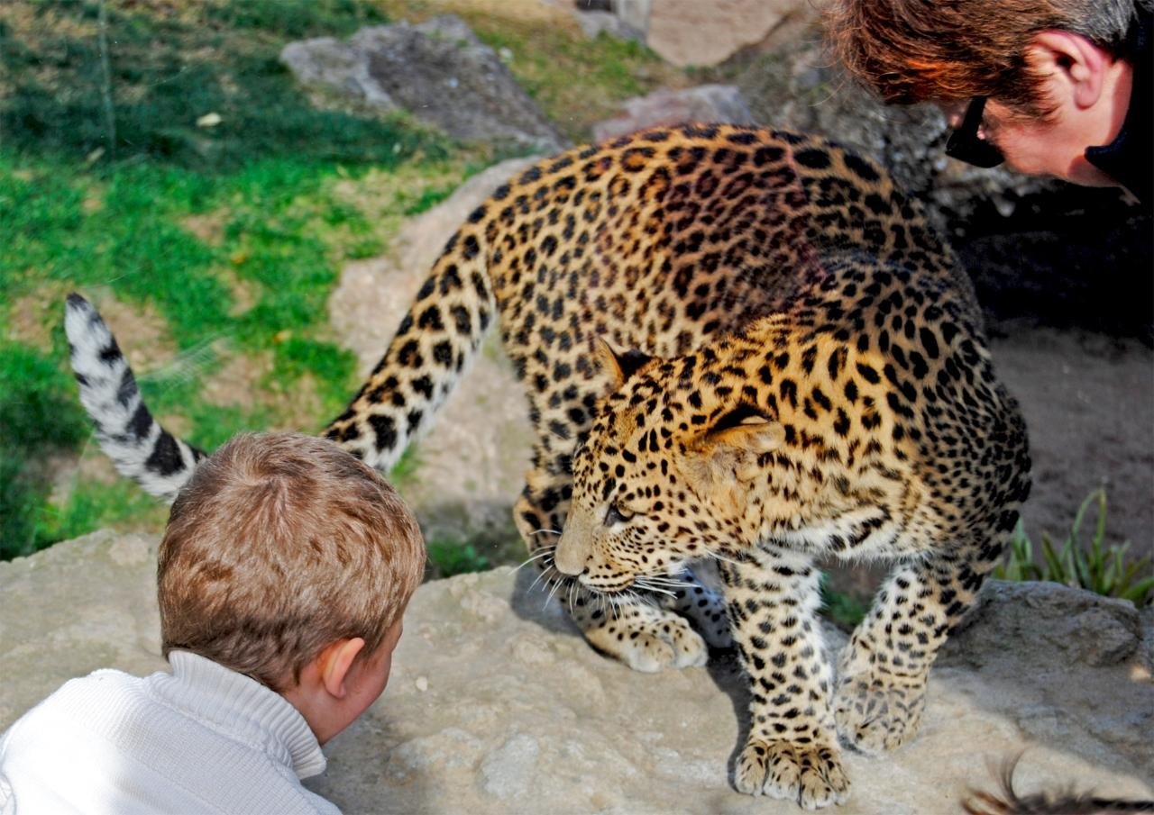 Bioparc Valencia Entry Ticket