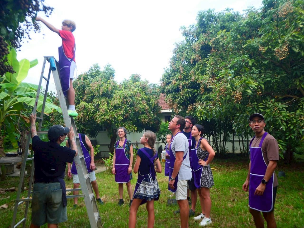 Half-Day Thai Cooking Class on a Local Farm Near Chiang Mai