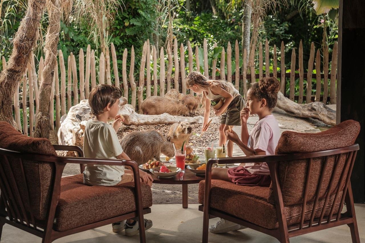 Bali Zoo: Capybara Brunch & Observation Experience