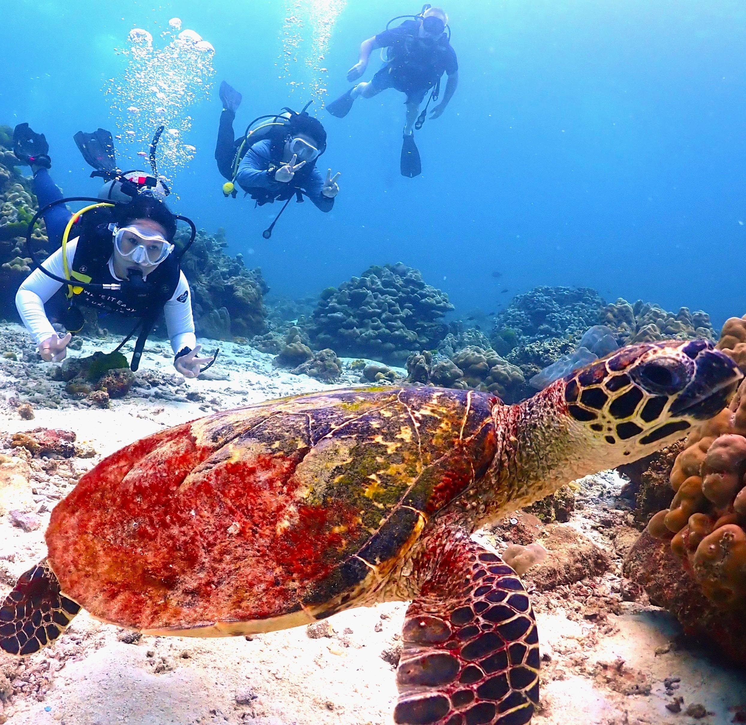 Phuket: Racha & Maiton Islands Scuba Diving for All Levels