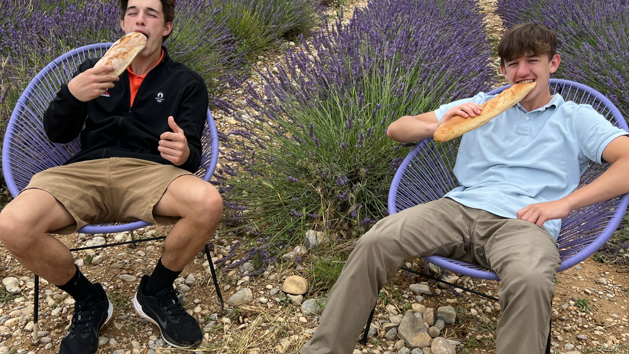 Valensole lavender fields in Provence — guided lavender tour photo 12