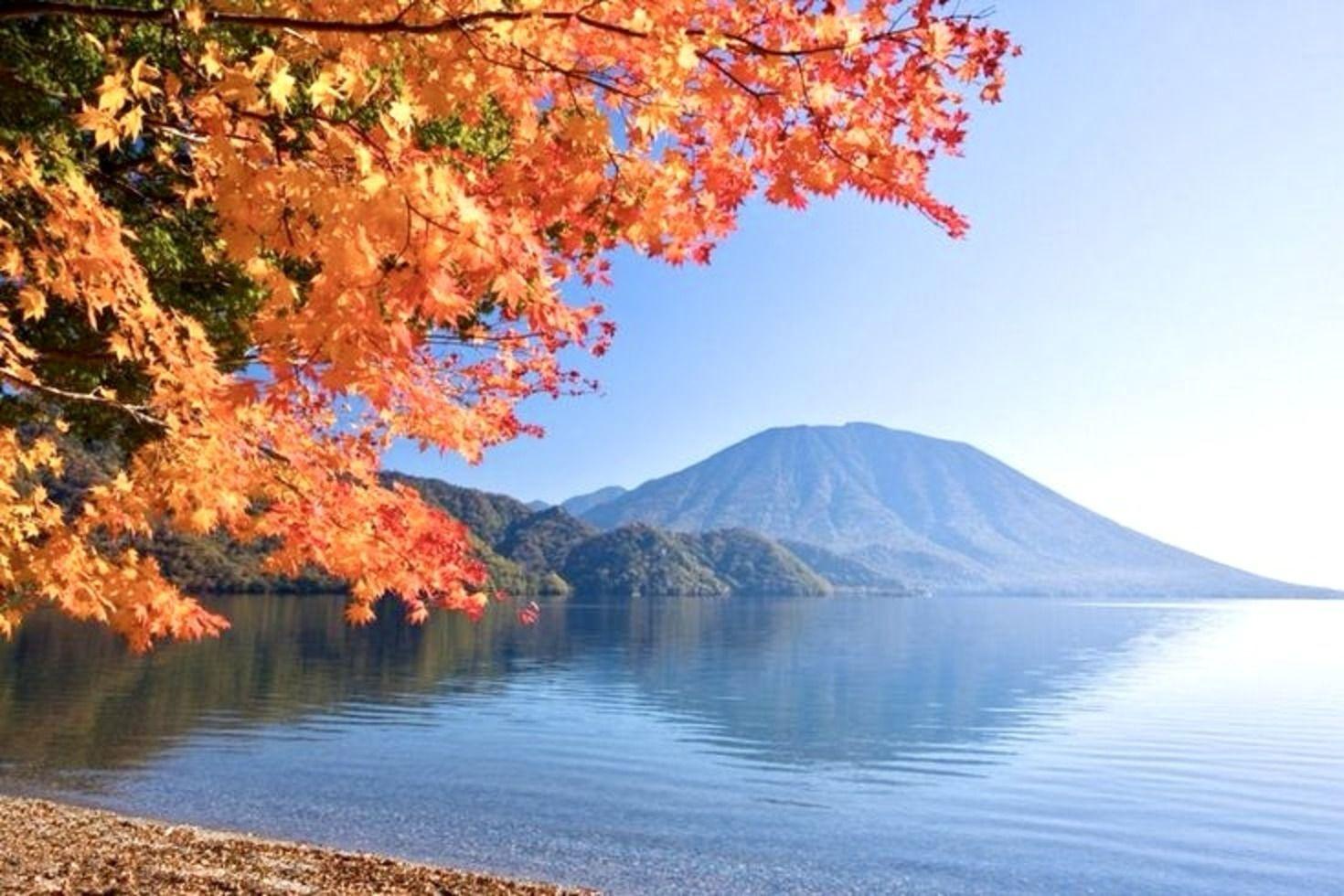 Nikko Private Full-Day Tour with English-Speaking Driver-Guide