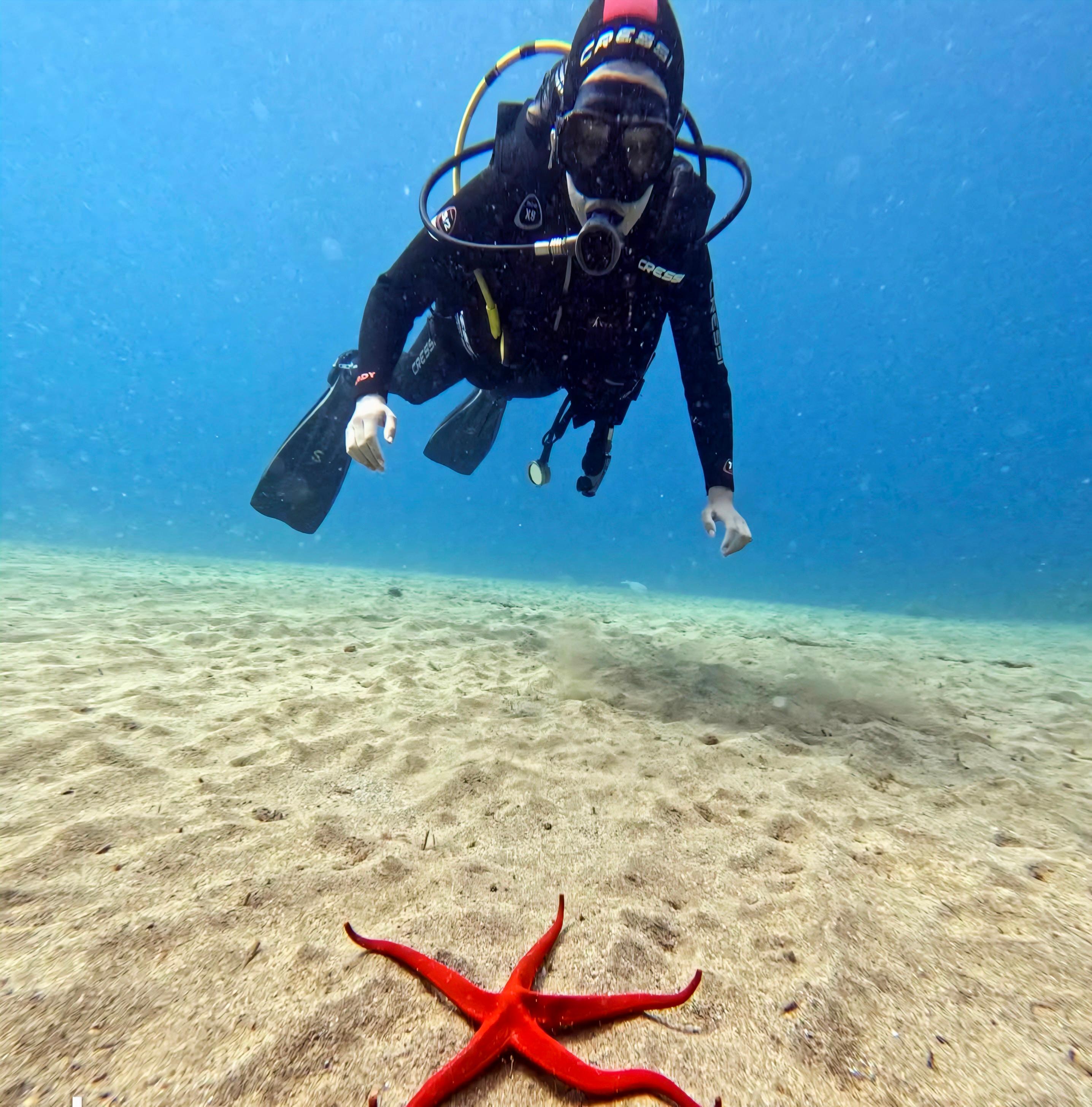 Scuba Diving for Beginners: No Experience Needed, Free Videos