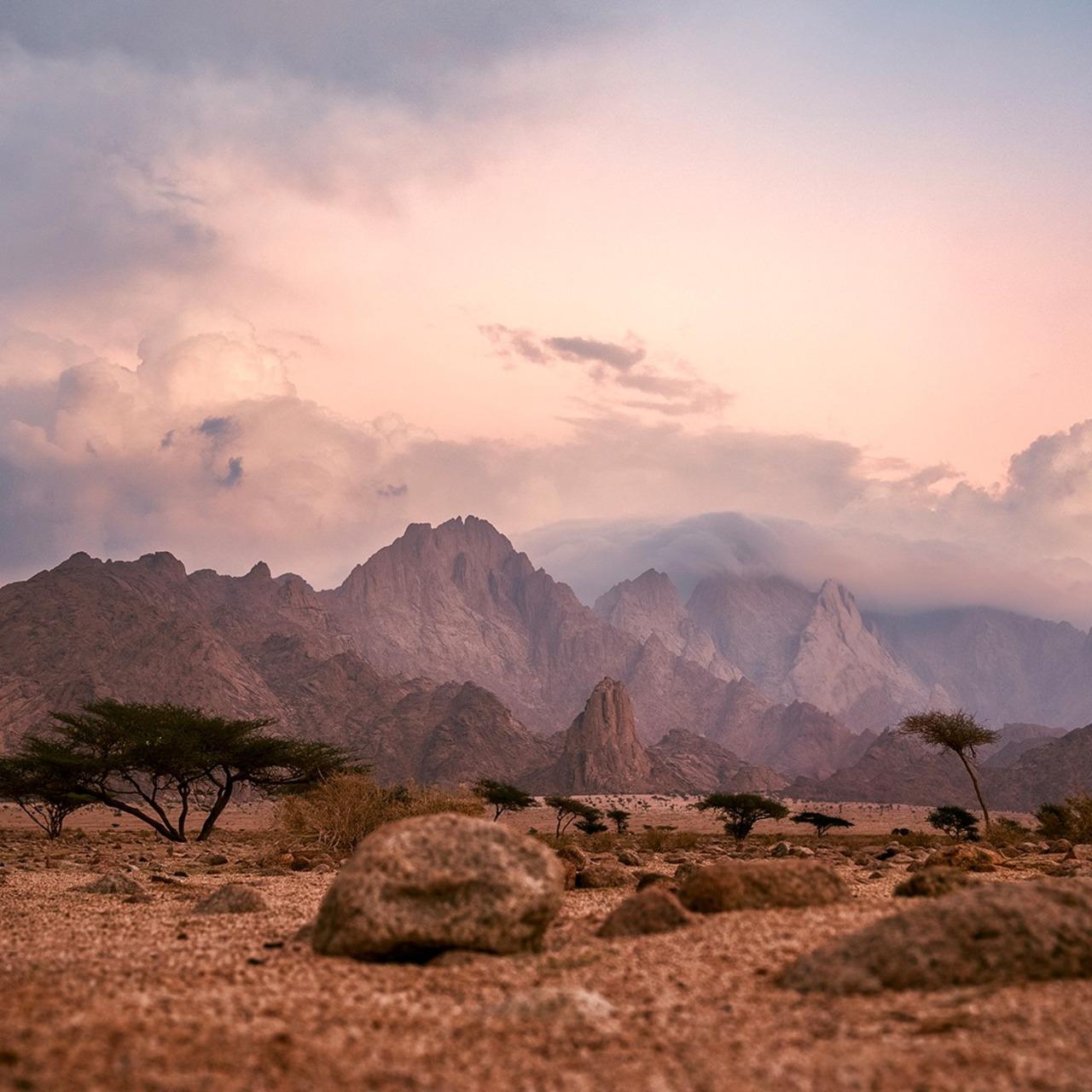Petra & Wadi Rum: One-Day Private or Group Journey