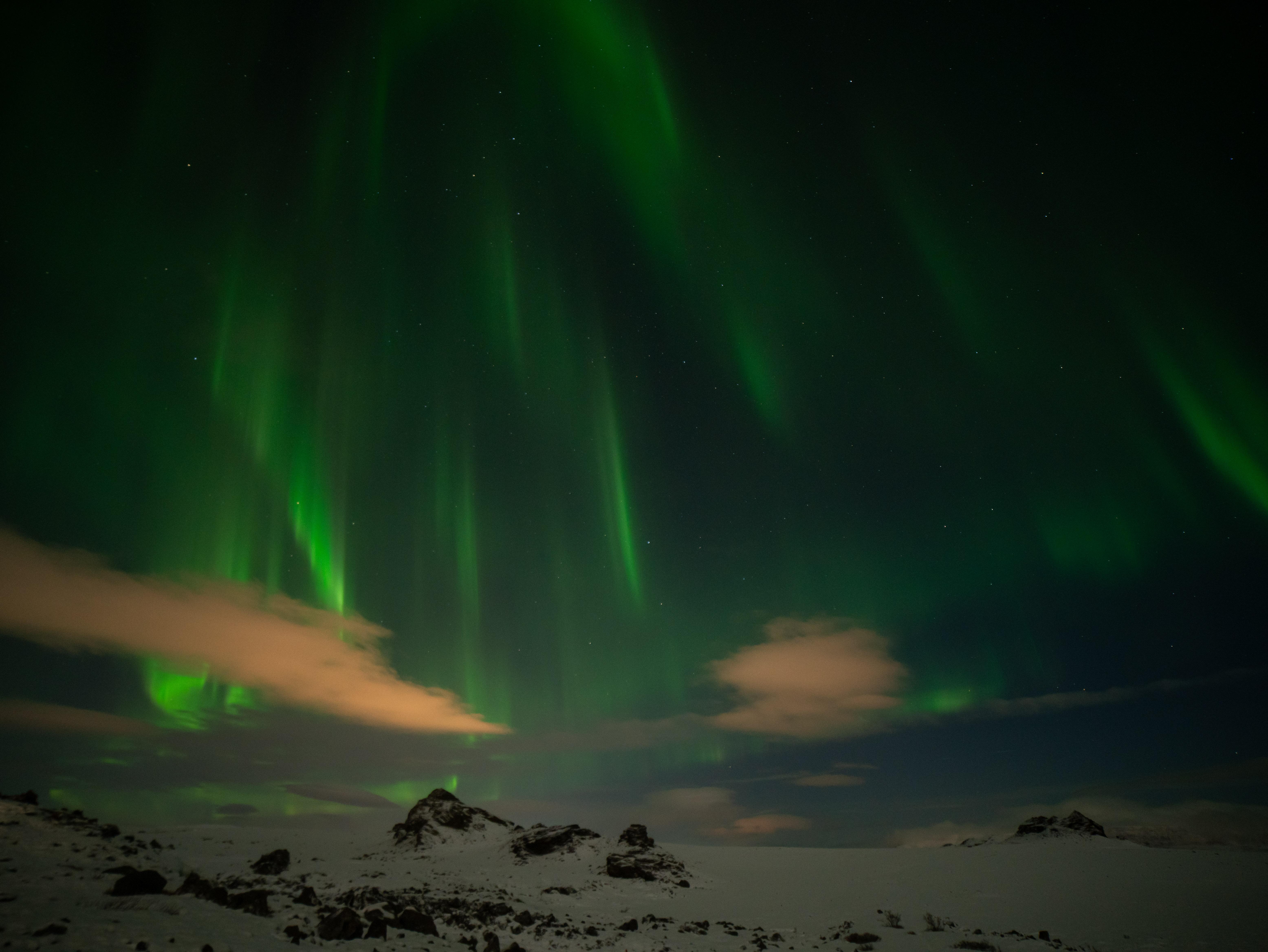 Reykjavik Northern Lights Minibus Hunt with Hot Cocoa