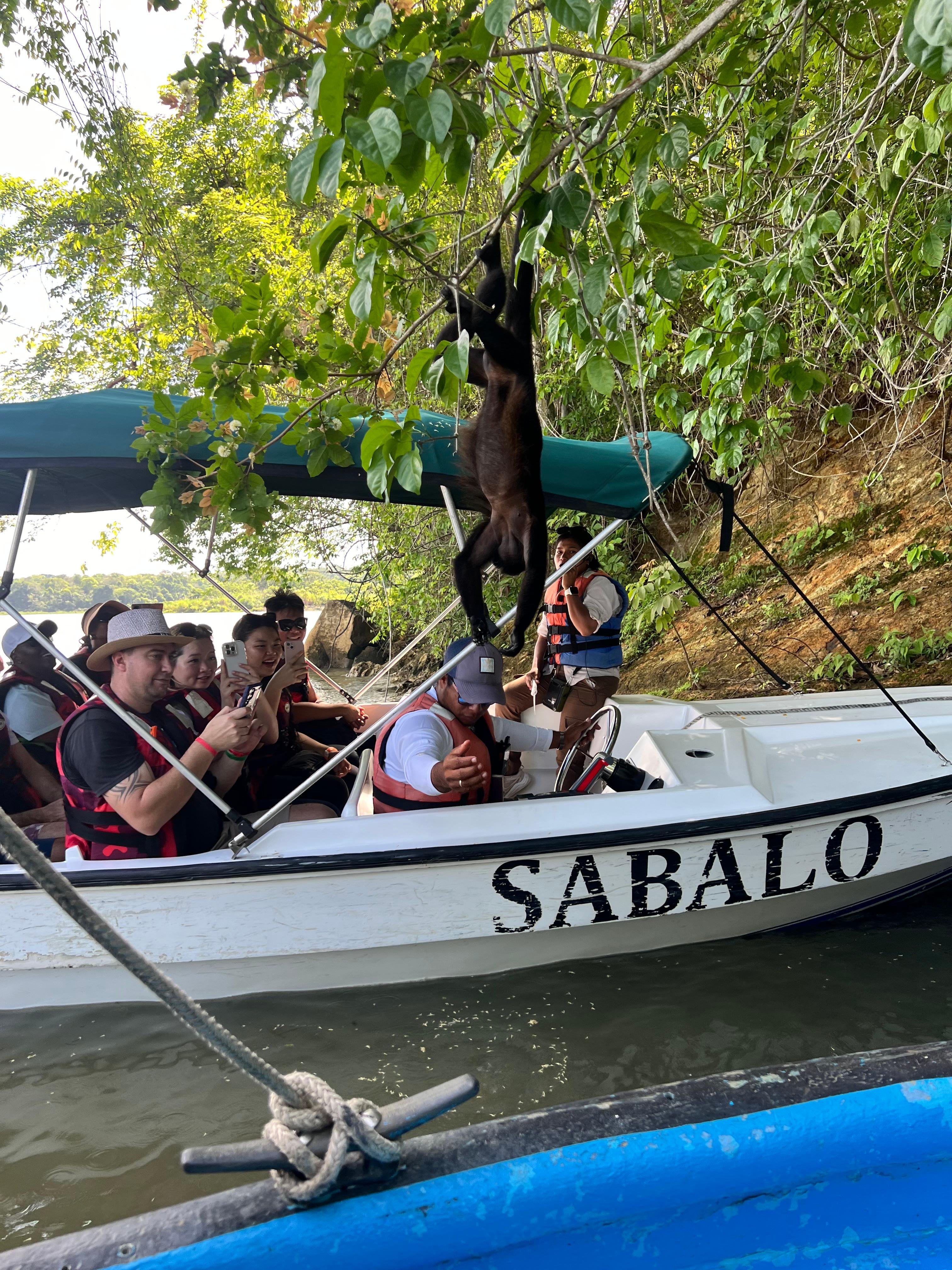 Panama Canal: Gatun Lake Wildlife & Monkey Island Cruise