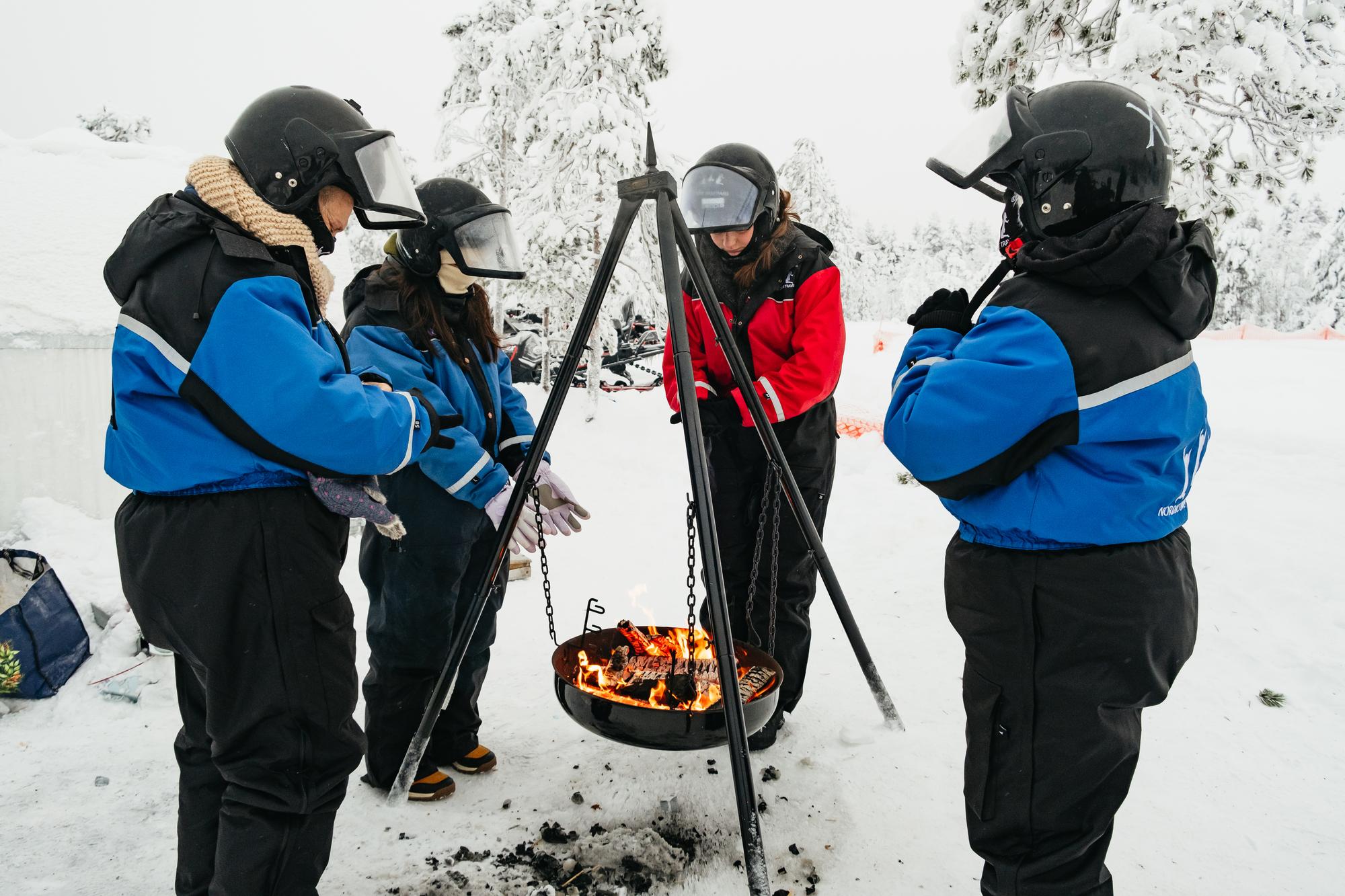 Rovaniemi Snowmobile Safari & Arctic Wildlife Day Tour
