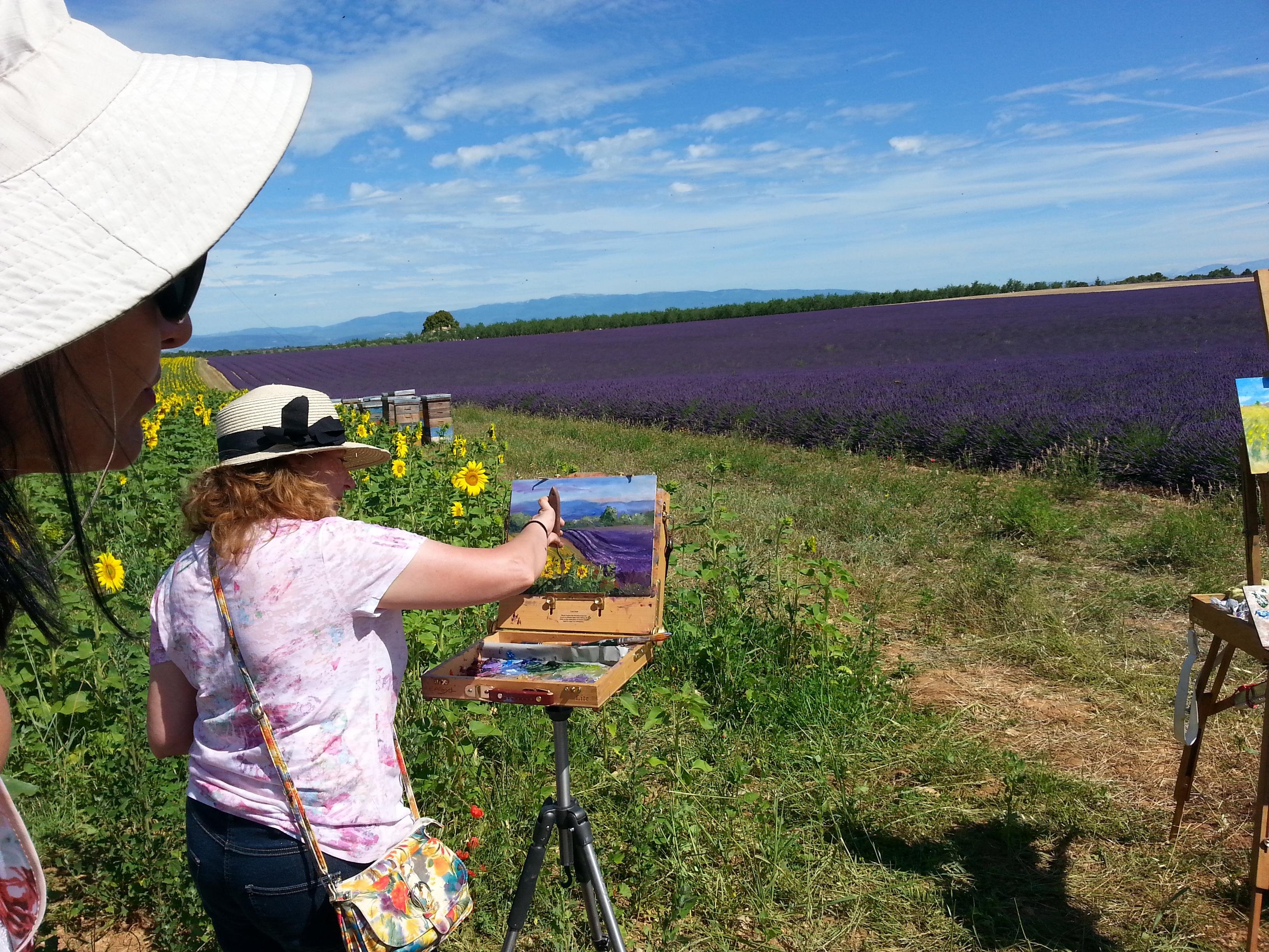 Valensole lavender fields in Provence — guided lavender tour photo 5