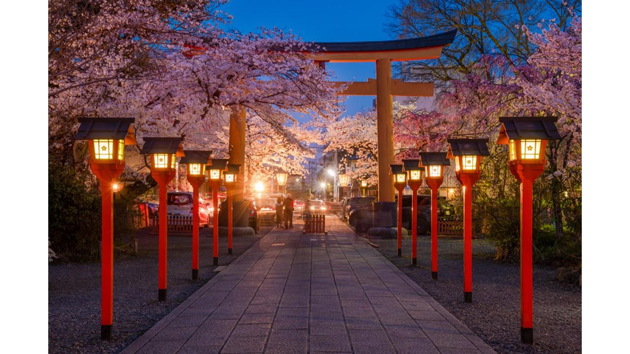 Kyoto: Privat heldagstur til høydepunktene med bil og guide