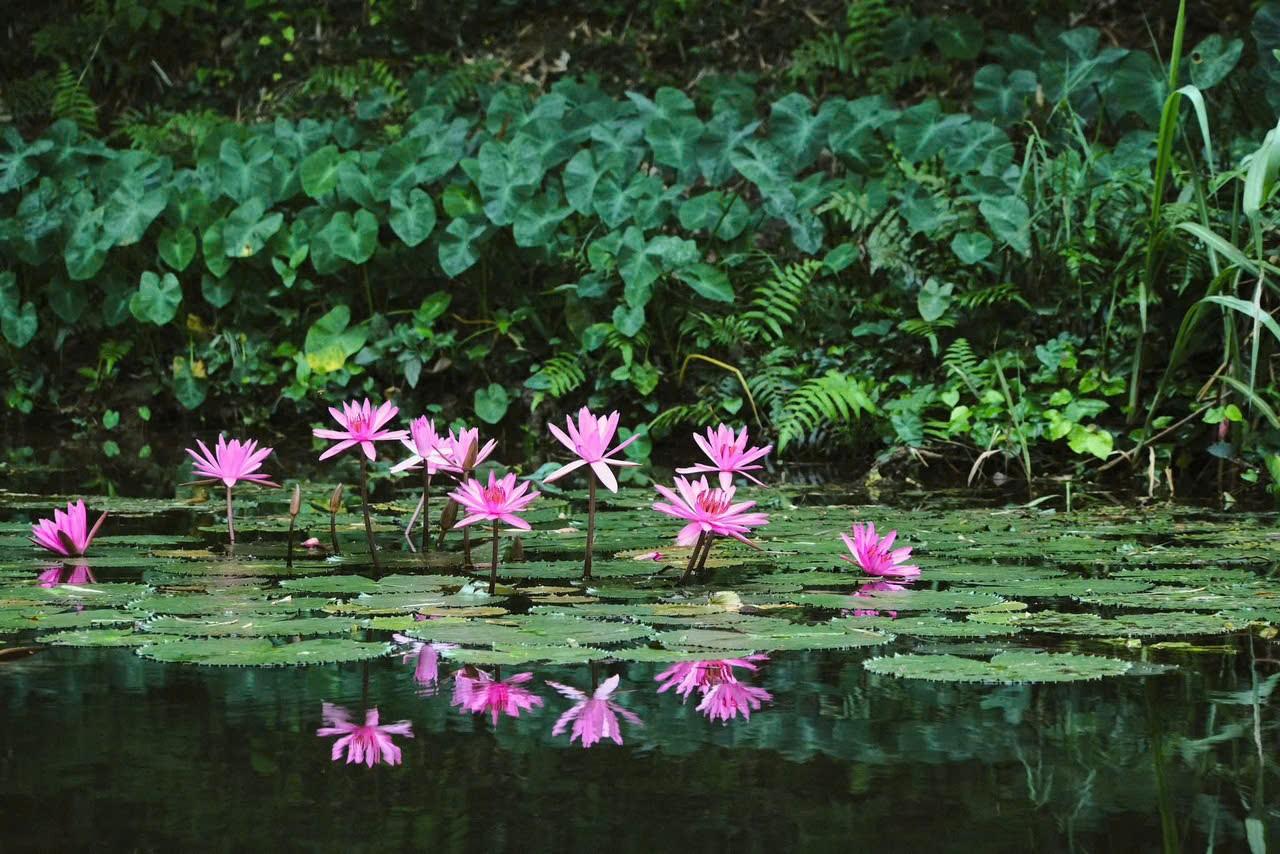 Hanoi to Ninh Binh: Hoa Lu, Trang An & Mua Cave Day Tour