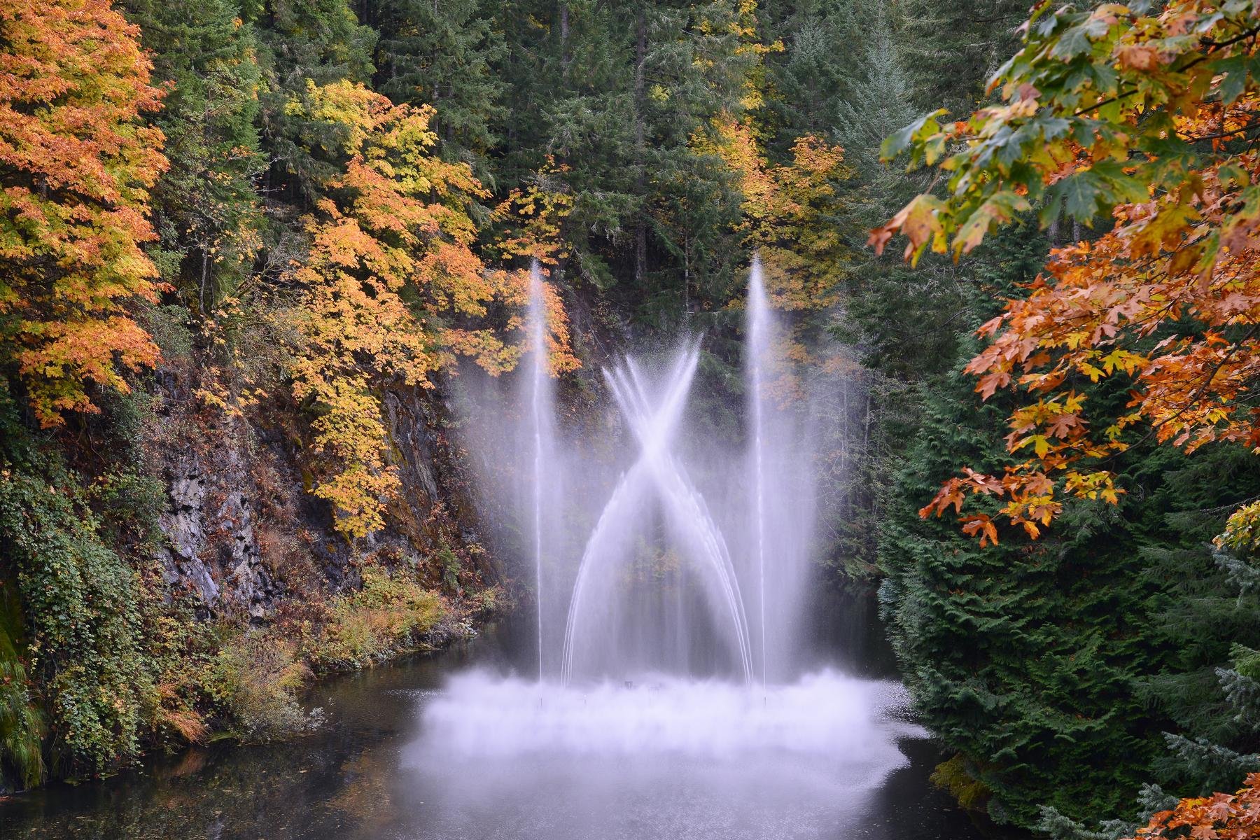 Victoria City Highlights & Butchart Gardens Guided Combo