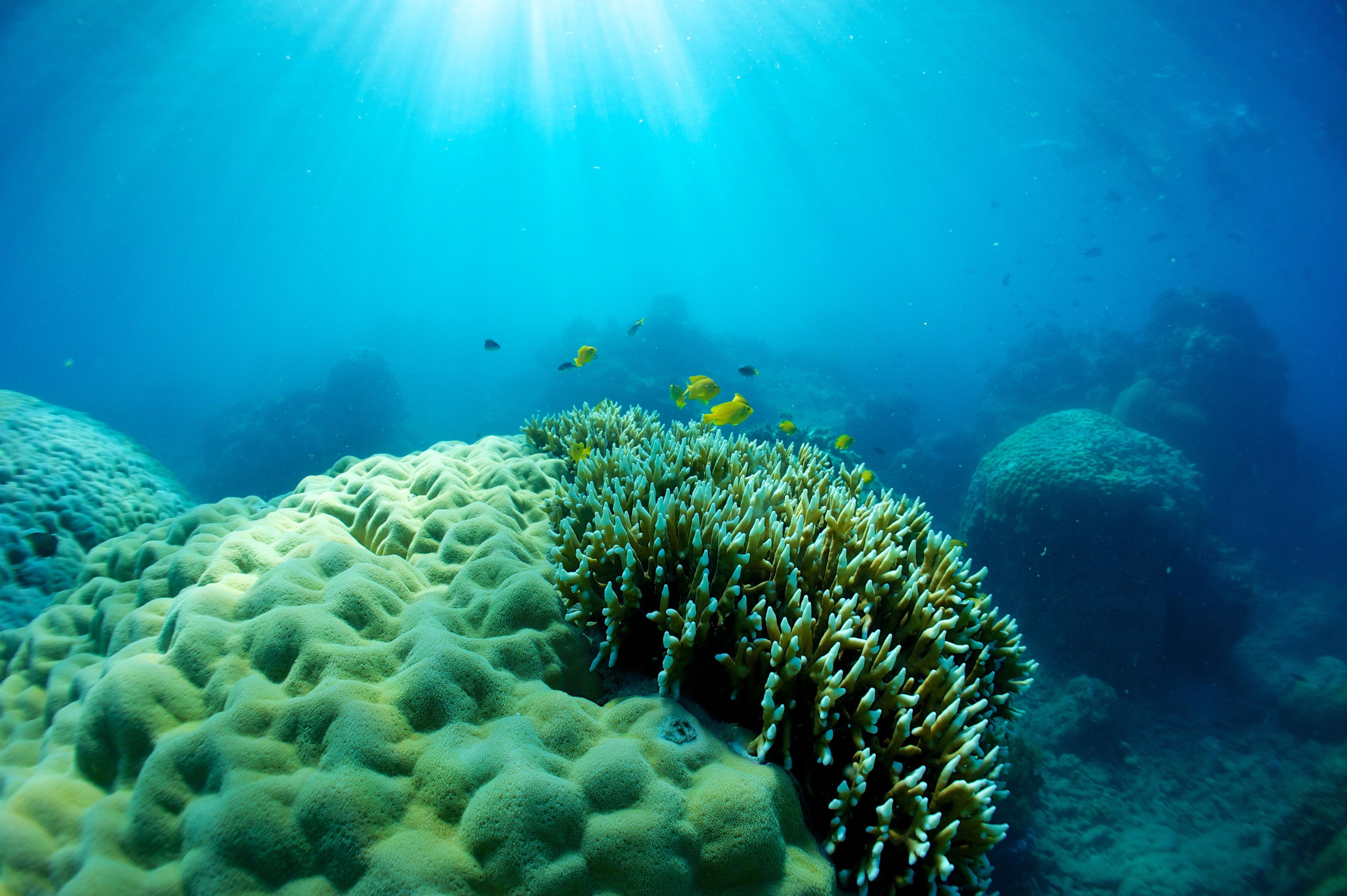 Whitsundays Luxury Catamaran Sail, Snorkel & SUP Day Tour