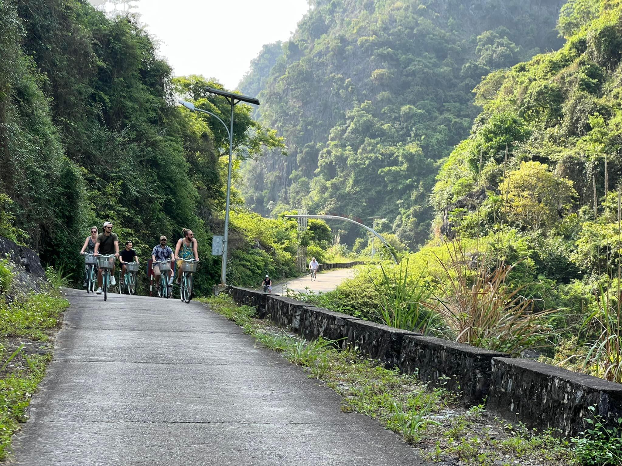 Cat Ba Island: Full-Day Lan Ha & Ha Long Bay Cruise