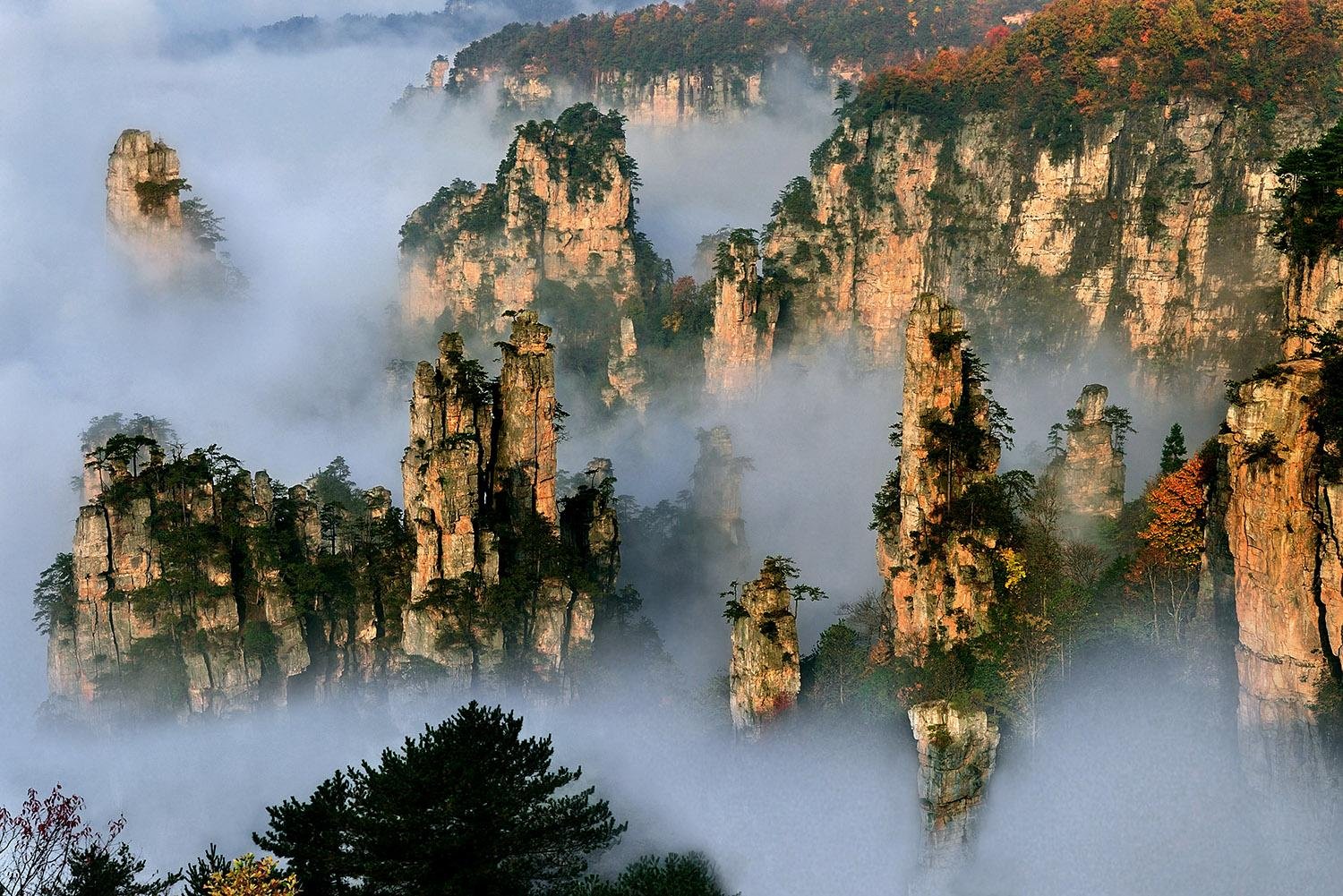 Zhangjiajie Avatar Mountain & Forest Park Full-Day Tour