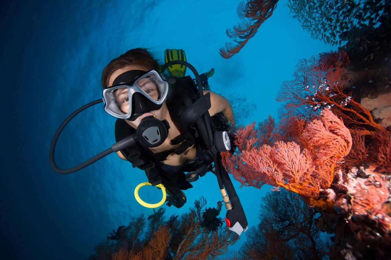 3-Dive Certification Expedition: Phi Phi Islands & Shark Point