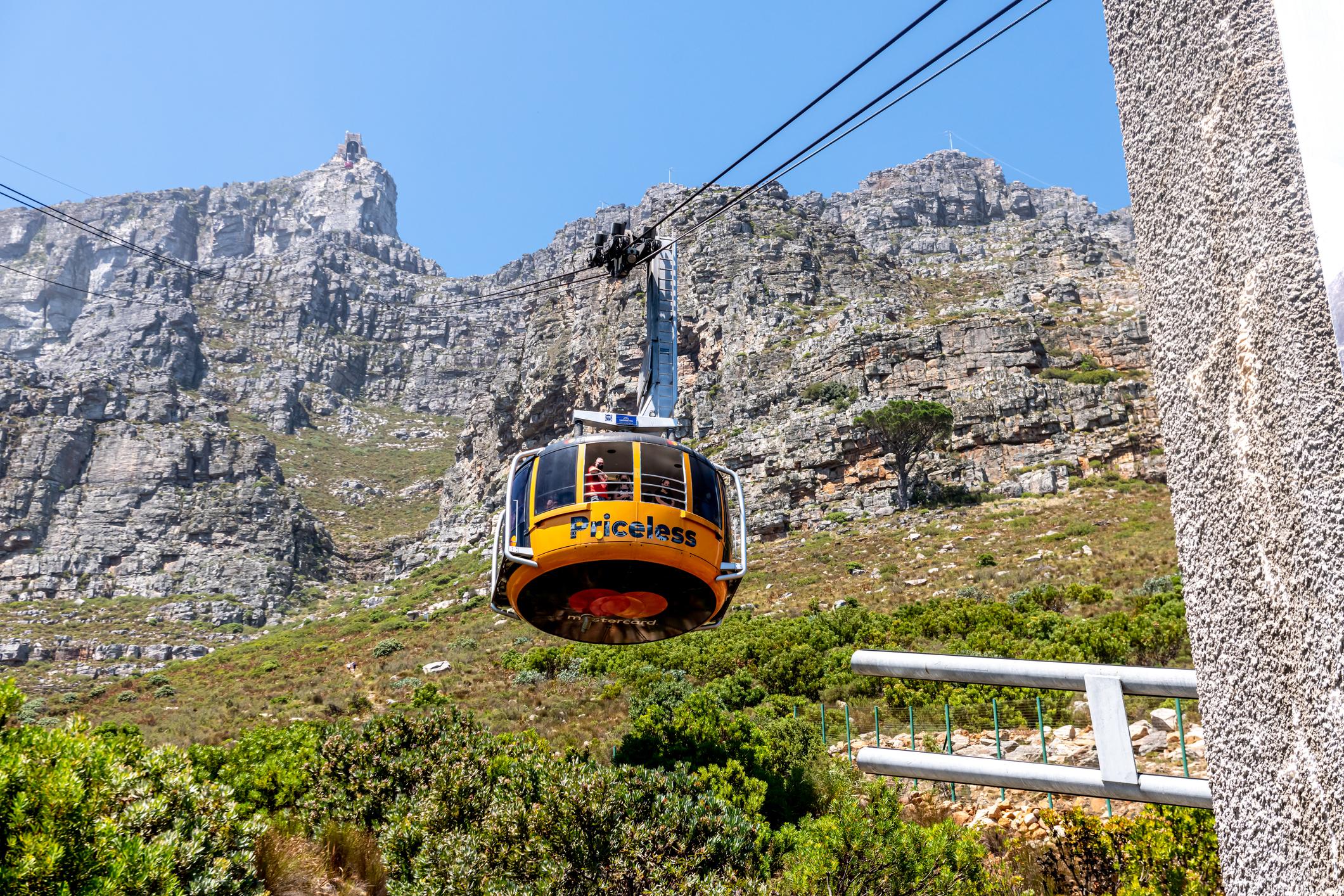 Cape Town Full-Day Tour: Table Mountain, Cape Point & Penguin Colony