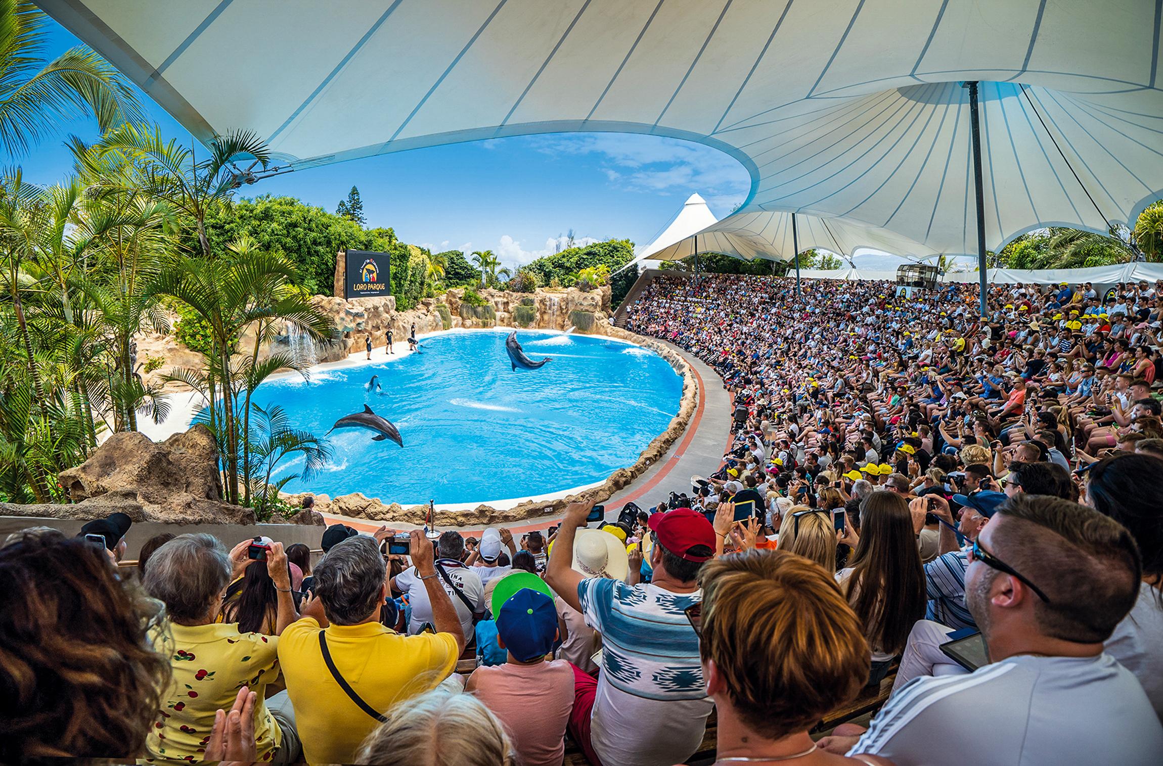 Loro Parque Tenerife Official Entry Ticket