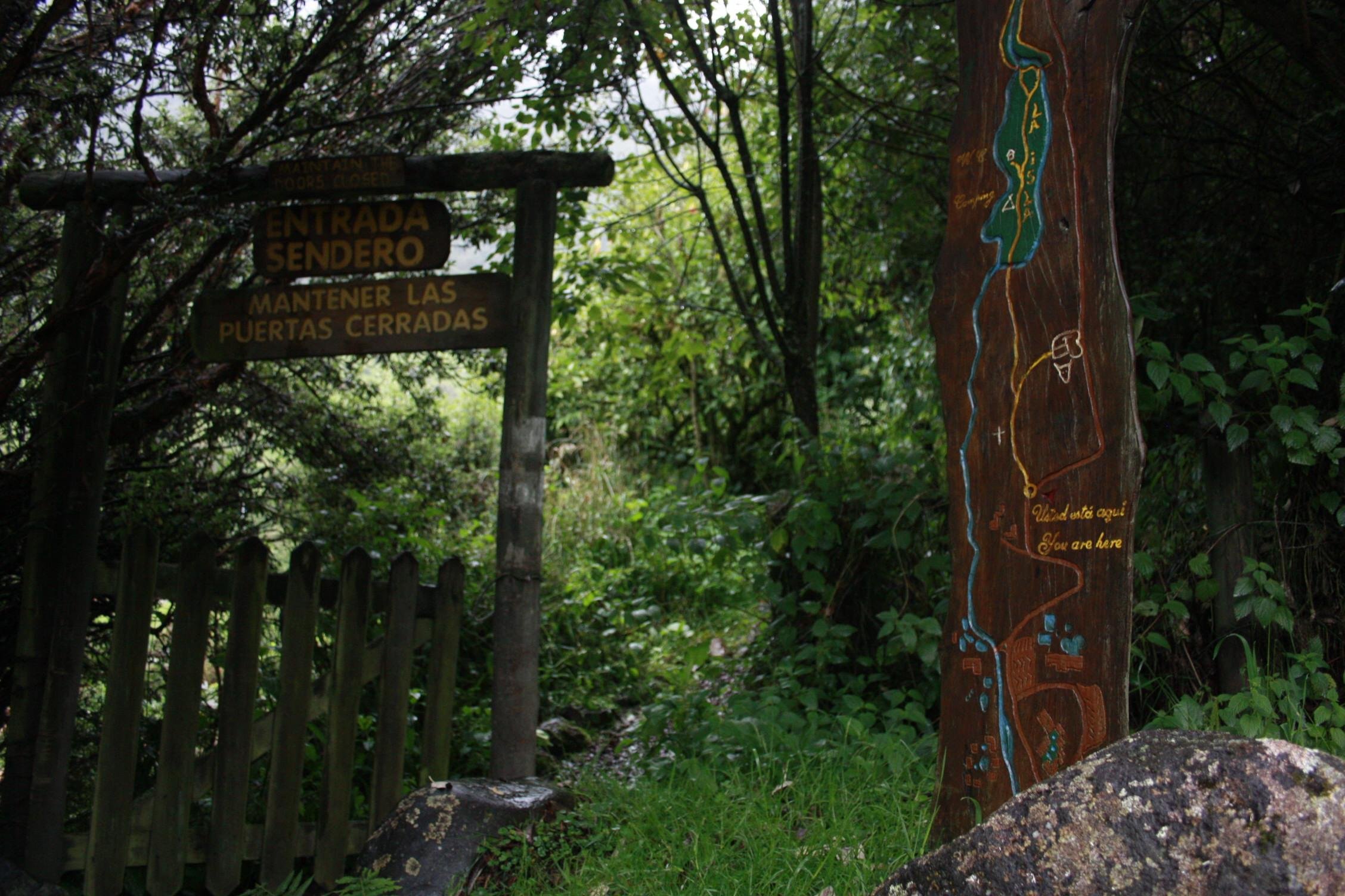 Papallacta Hot Springs & Cloud Forest Hike from Quito