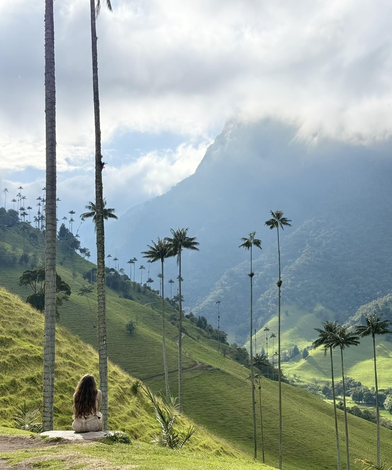 Cocora Valley: Horseback Ride, Guided Hike & Coffee Farm Tour