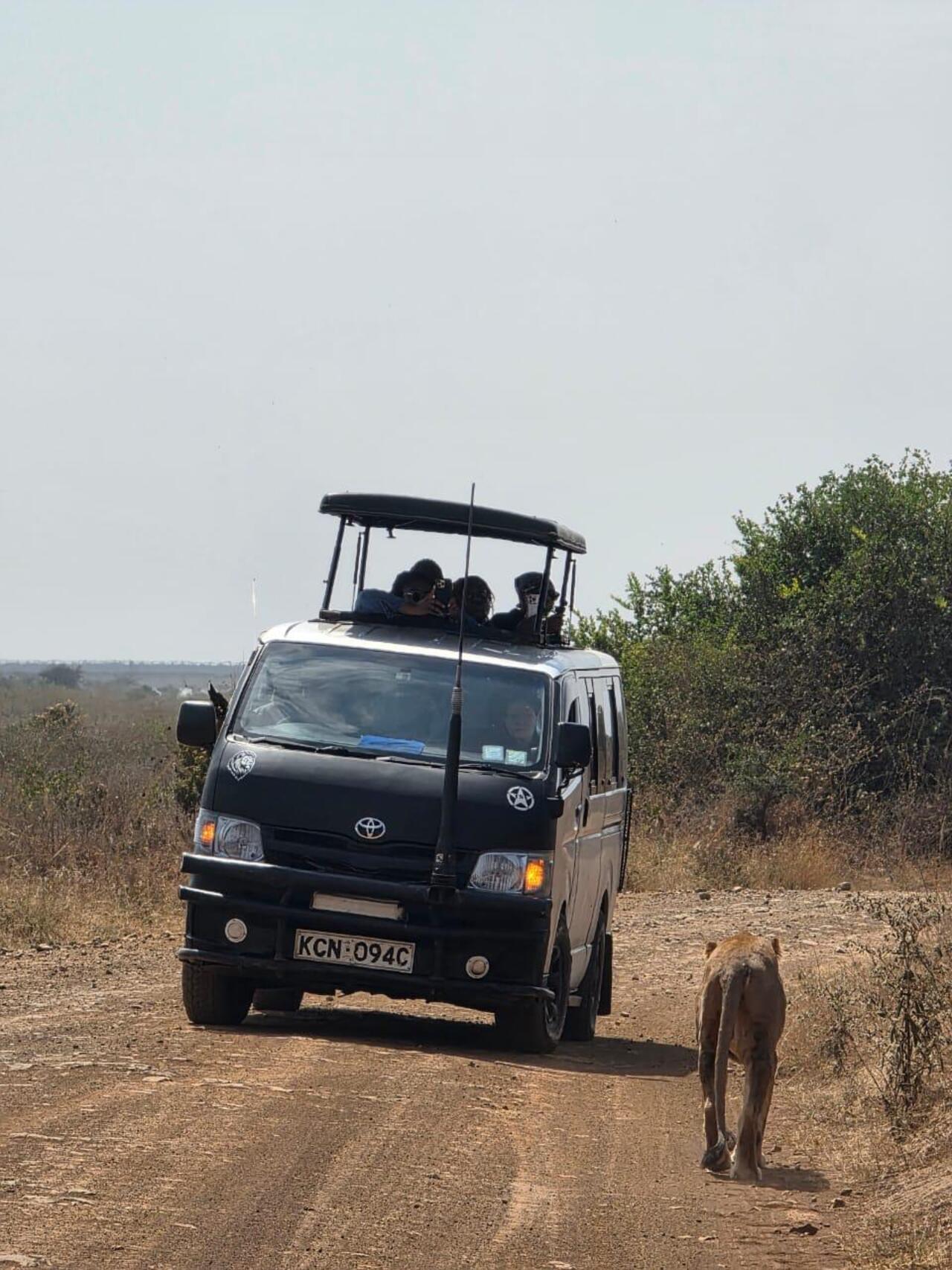 Nairobi National Park 5-Hour 4x4 Wildlife Safari