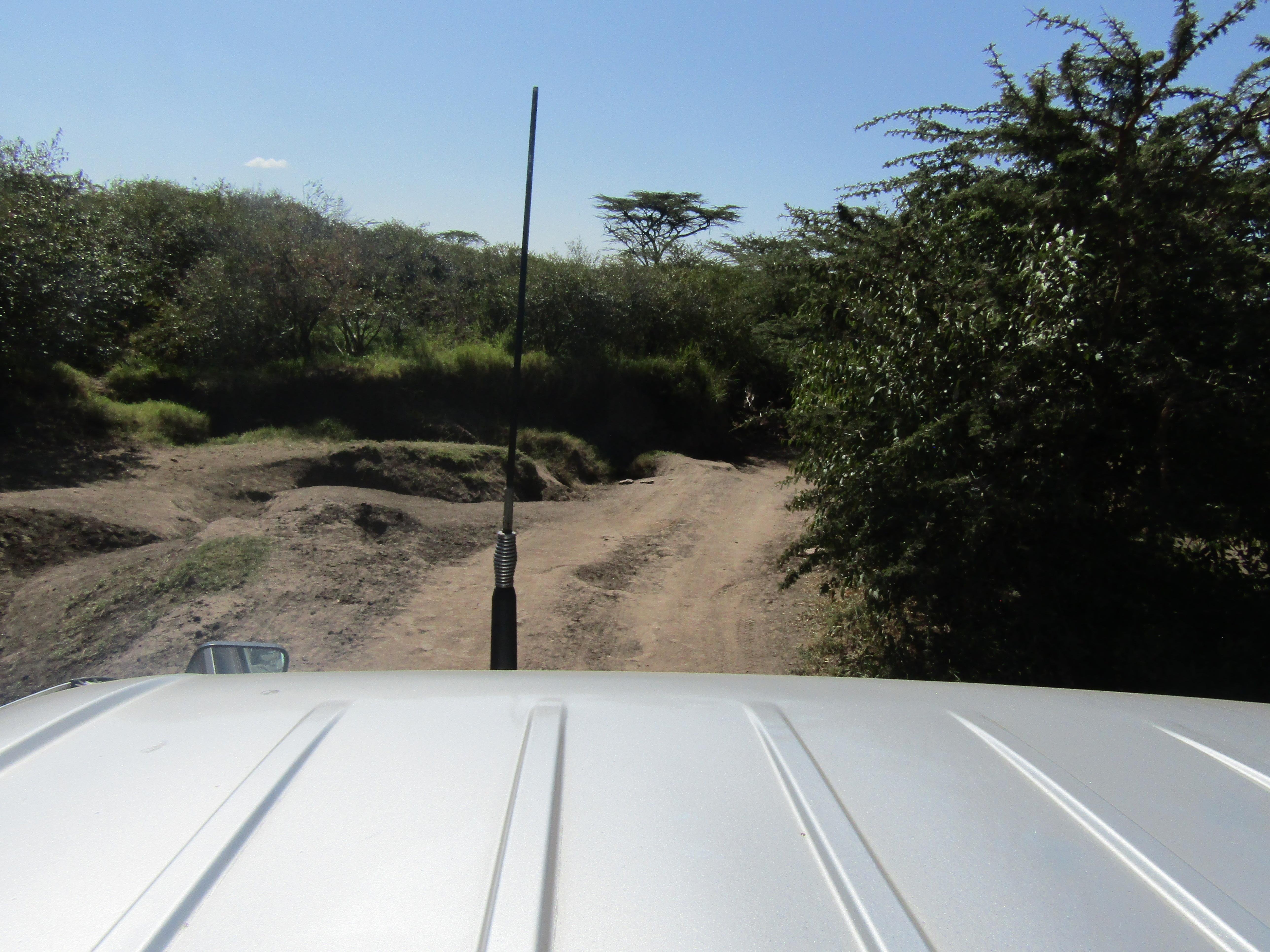 3-Day Masai Mara Safari Adventure from Nairobi