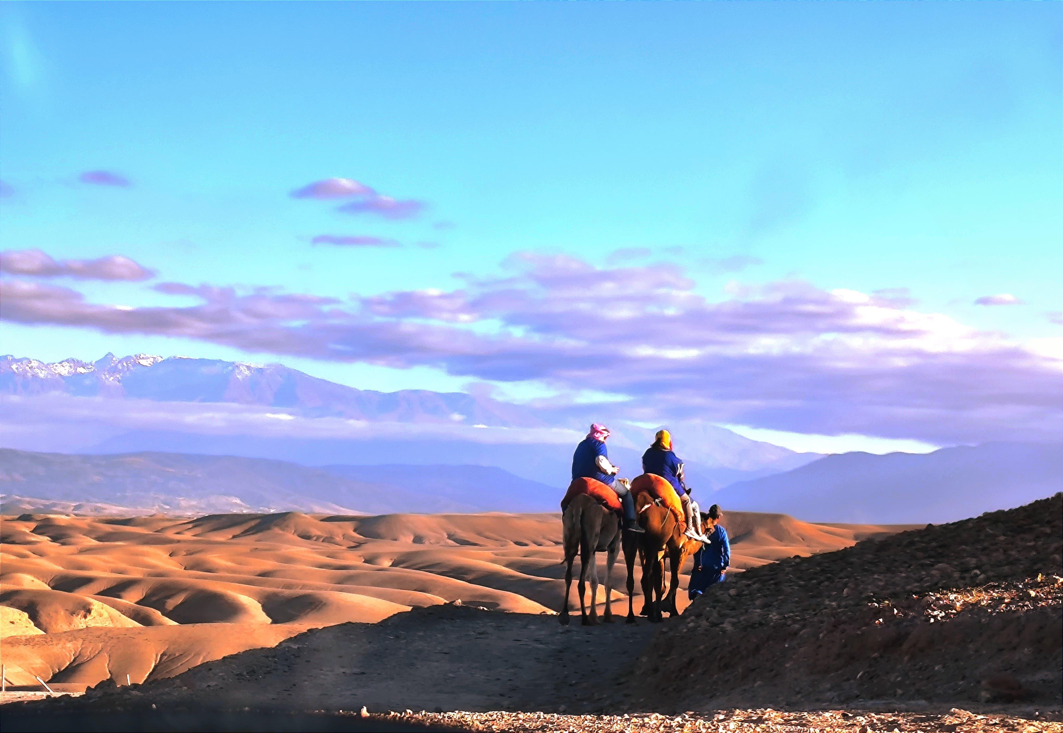 Agafay Desert Adventure: Quad Bikes, Camels & Pool Day from Marrakech