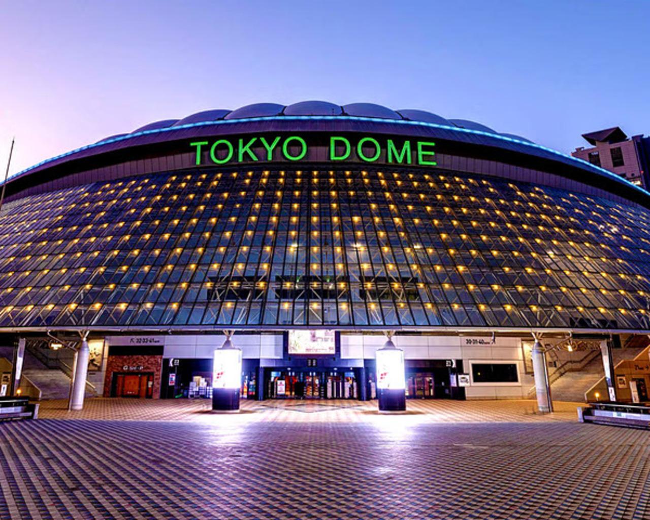 Yomiuri Giants Baseball at Tokyo Dome with Official Towel
