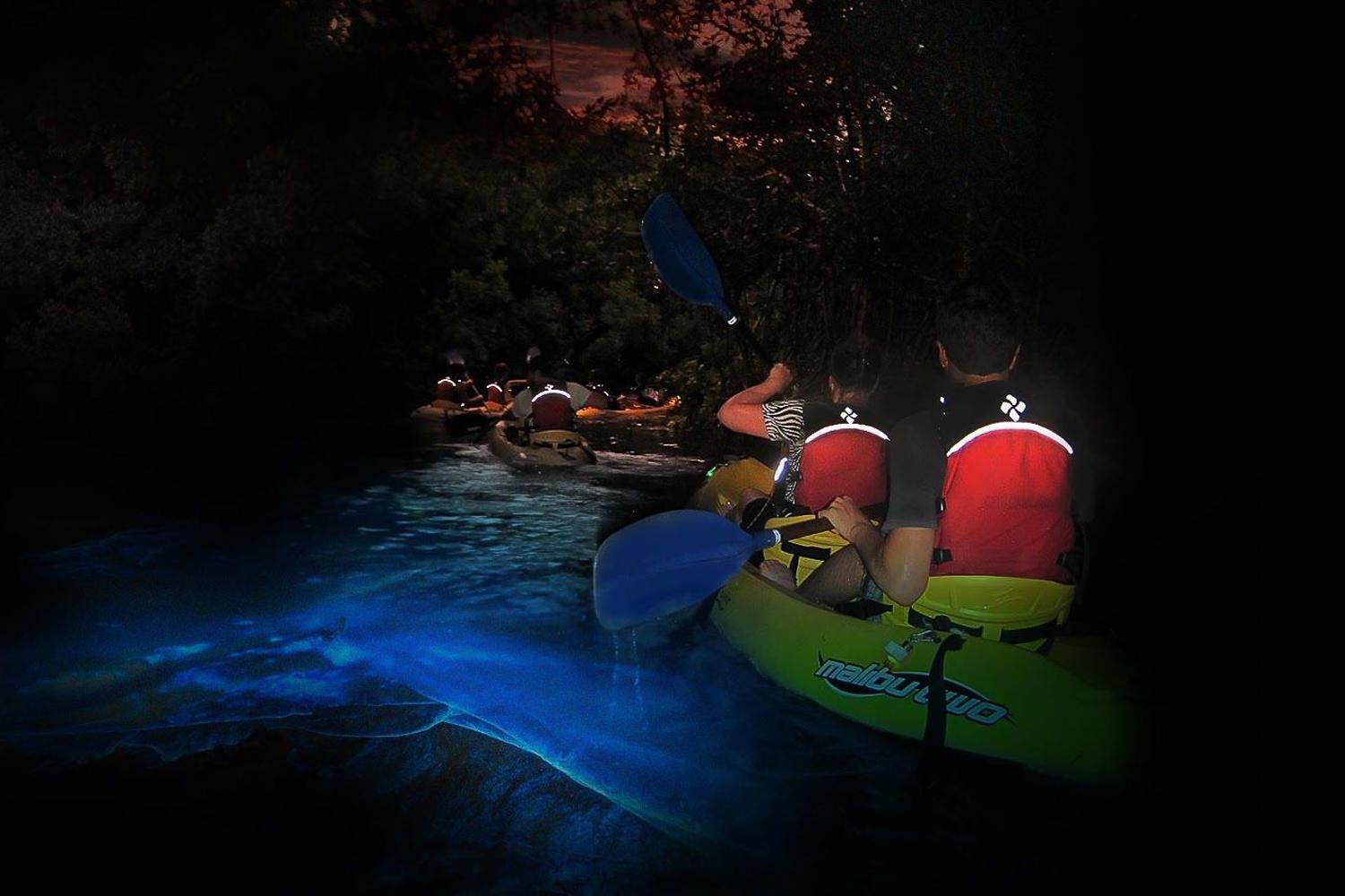 Full-Day El Yunque Rainforest and Bioluminescent Bay Expedition