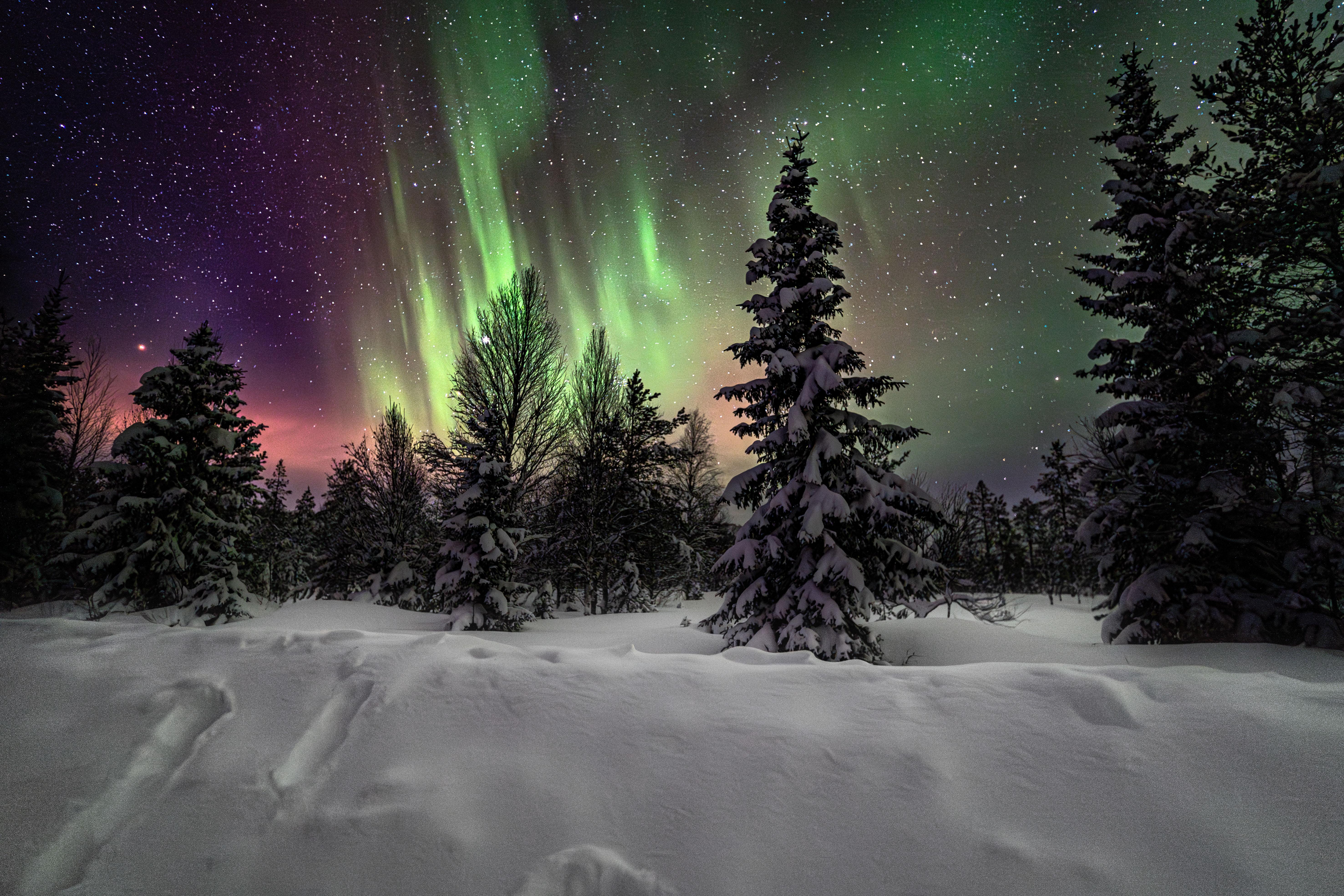 Rovaniemi Aurora Hunt – Expert-Led Northern Lights Chase with Free Photos