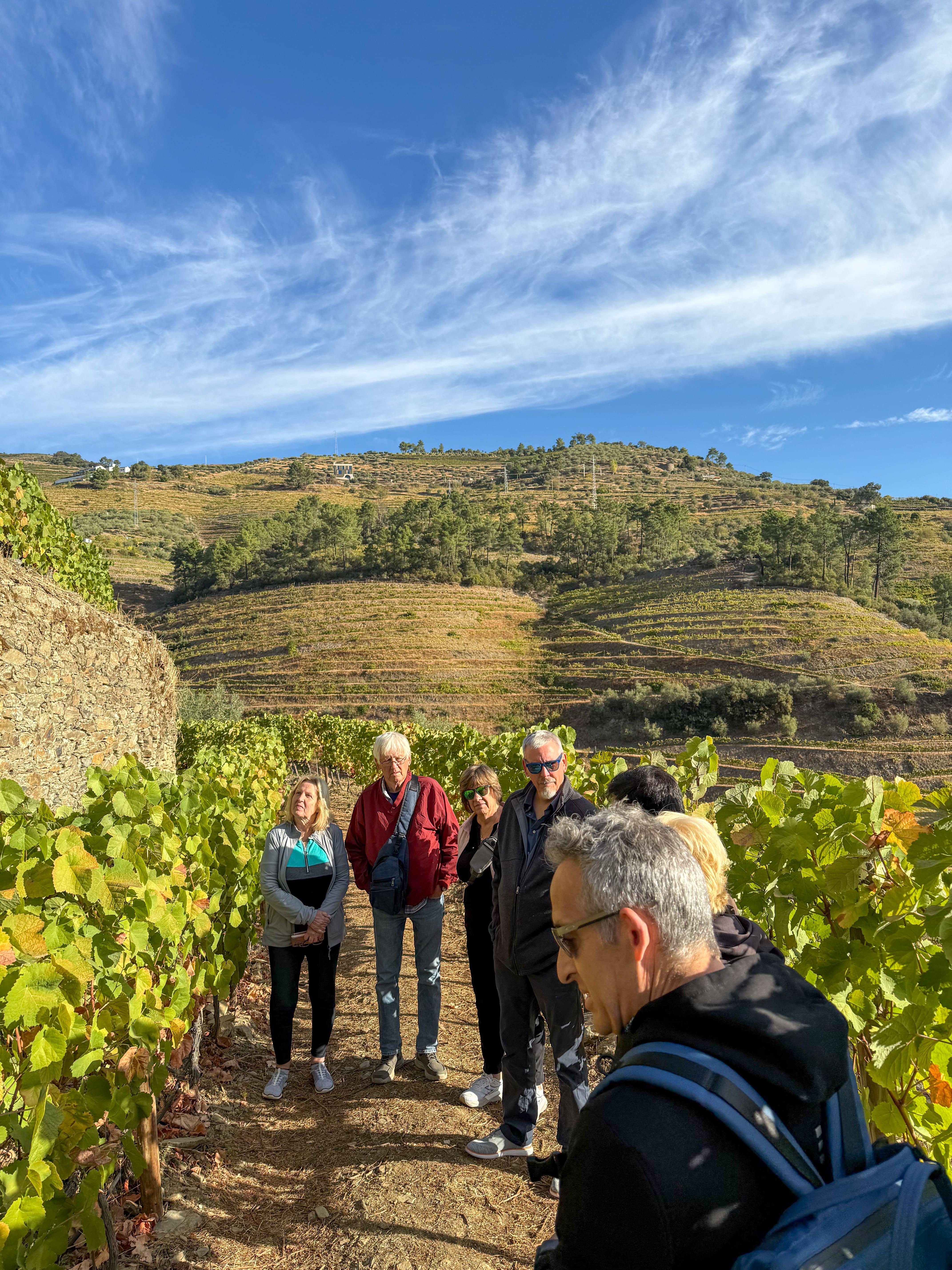 olive oil tasting in Porto — photo 4