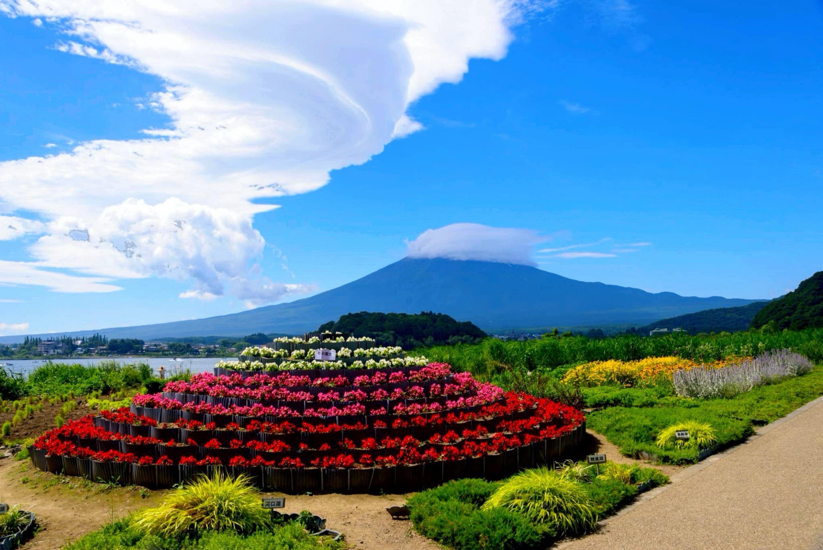 Mount Fuji Private Day Tour from Tokyo with English-Speaking Driver