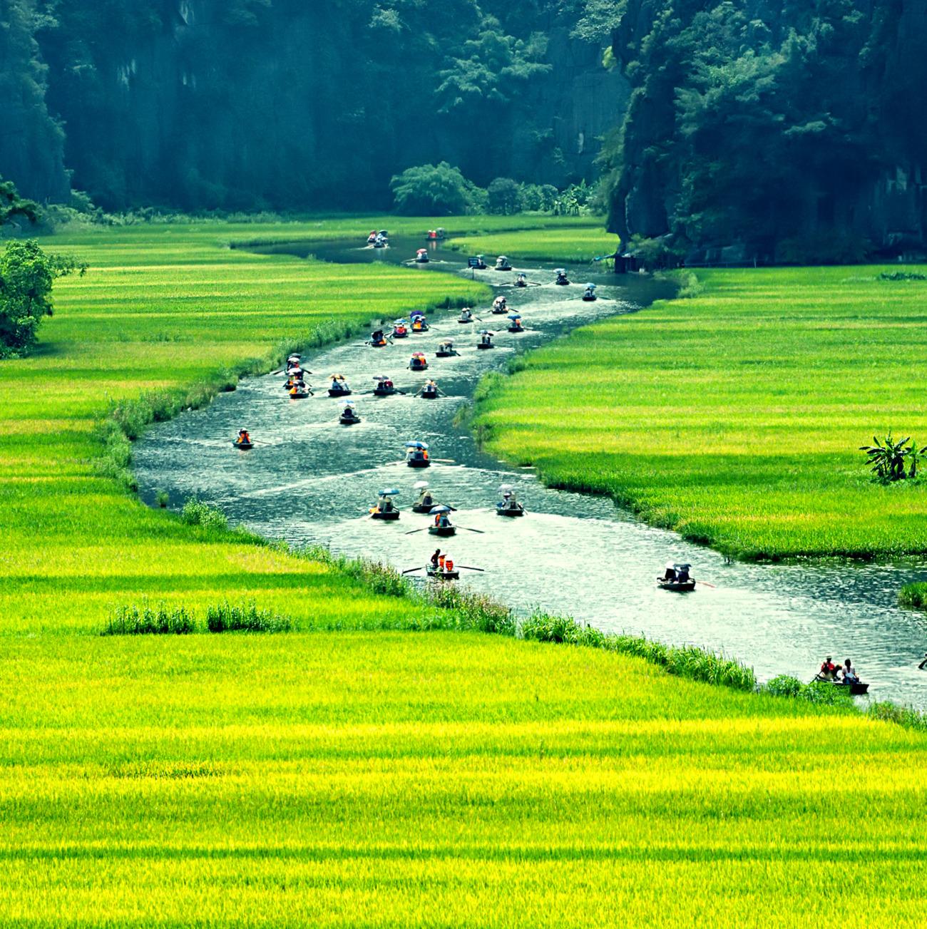 Ninh Binh Full-Day Private Tour: Tam Coc, Bich Dong & Thung Nham Bird Valley