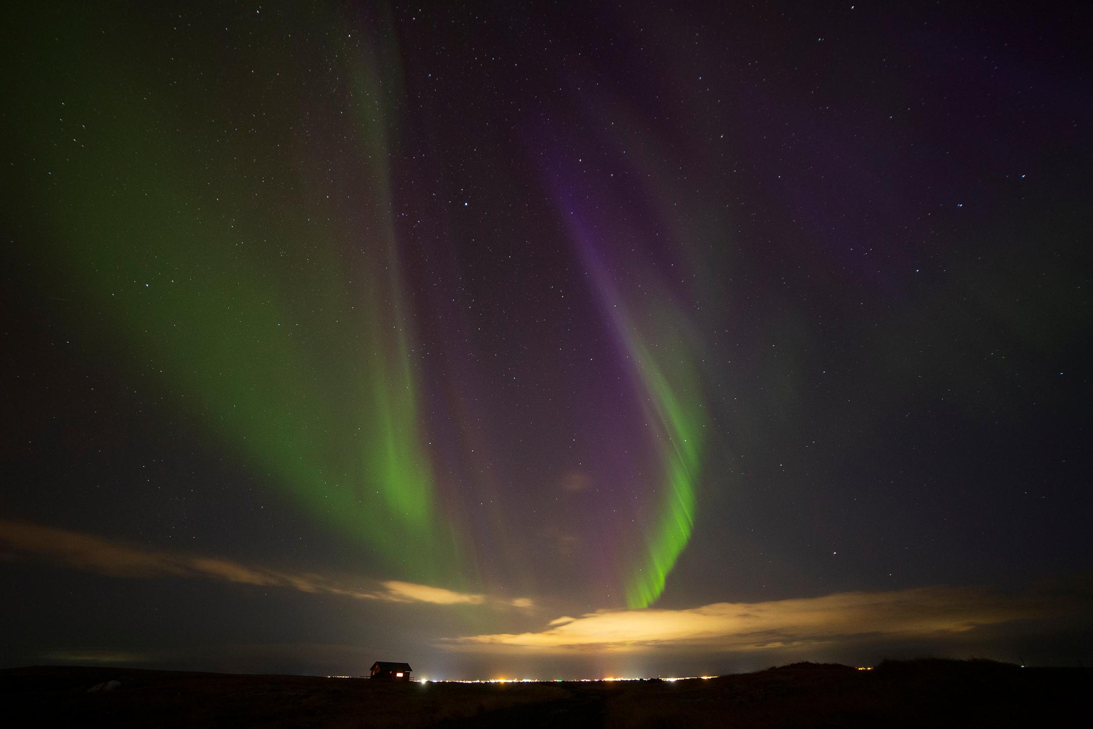 Reykjavik Northern Lights Minibus Hunt with Hot Cocoa