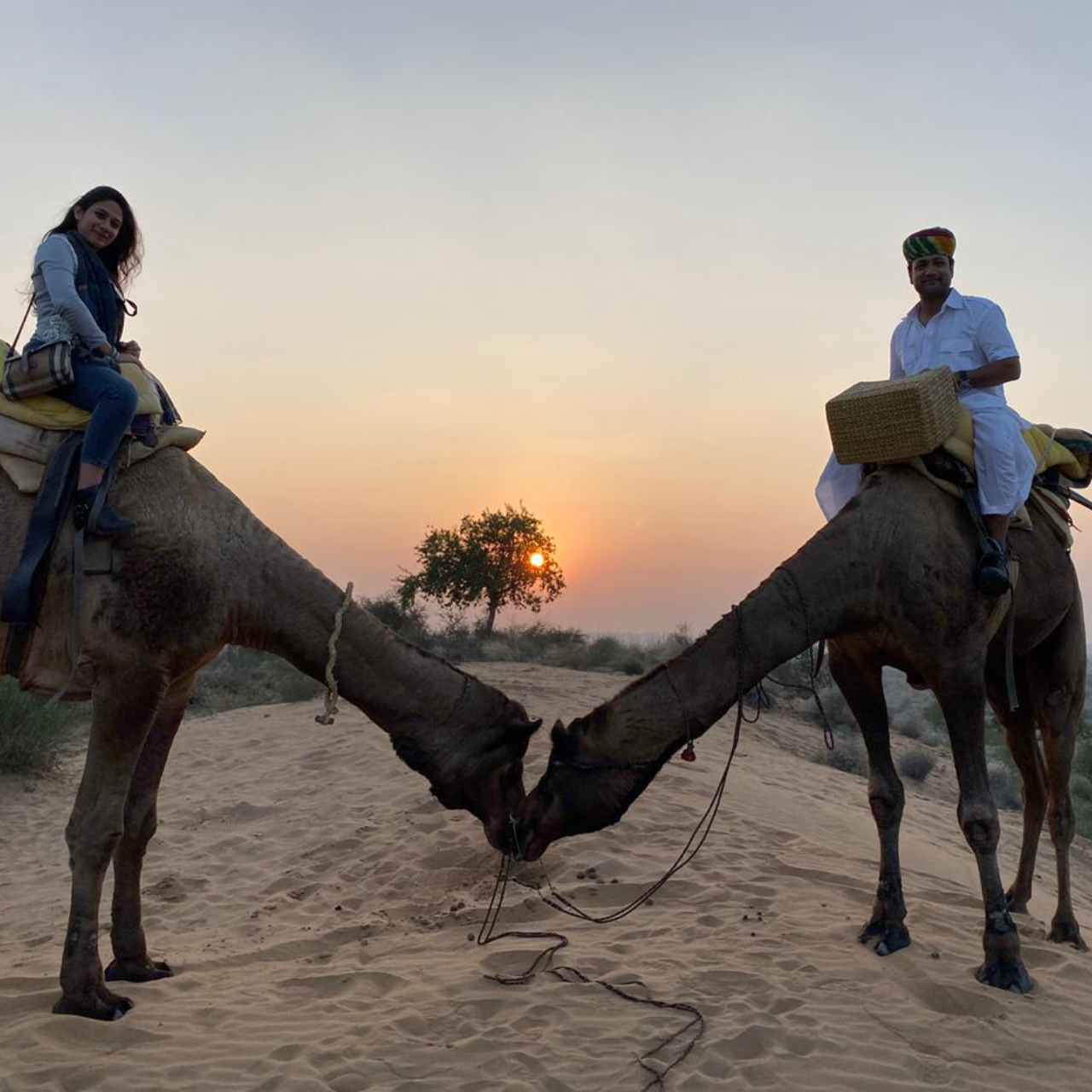 Thar Desert Overnight Camel Safari & Village Stay