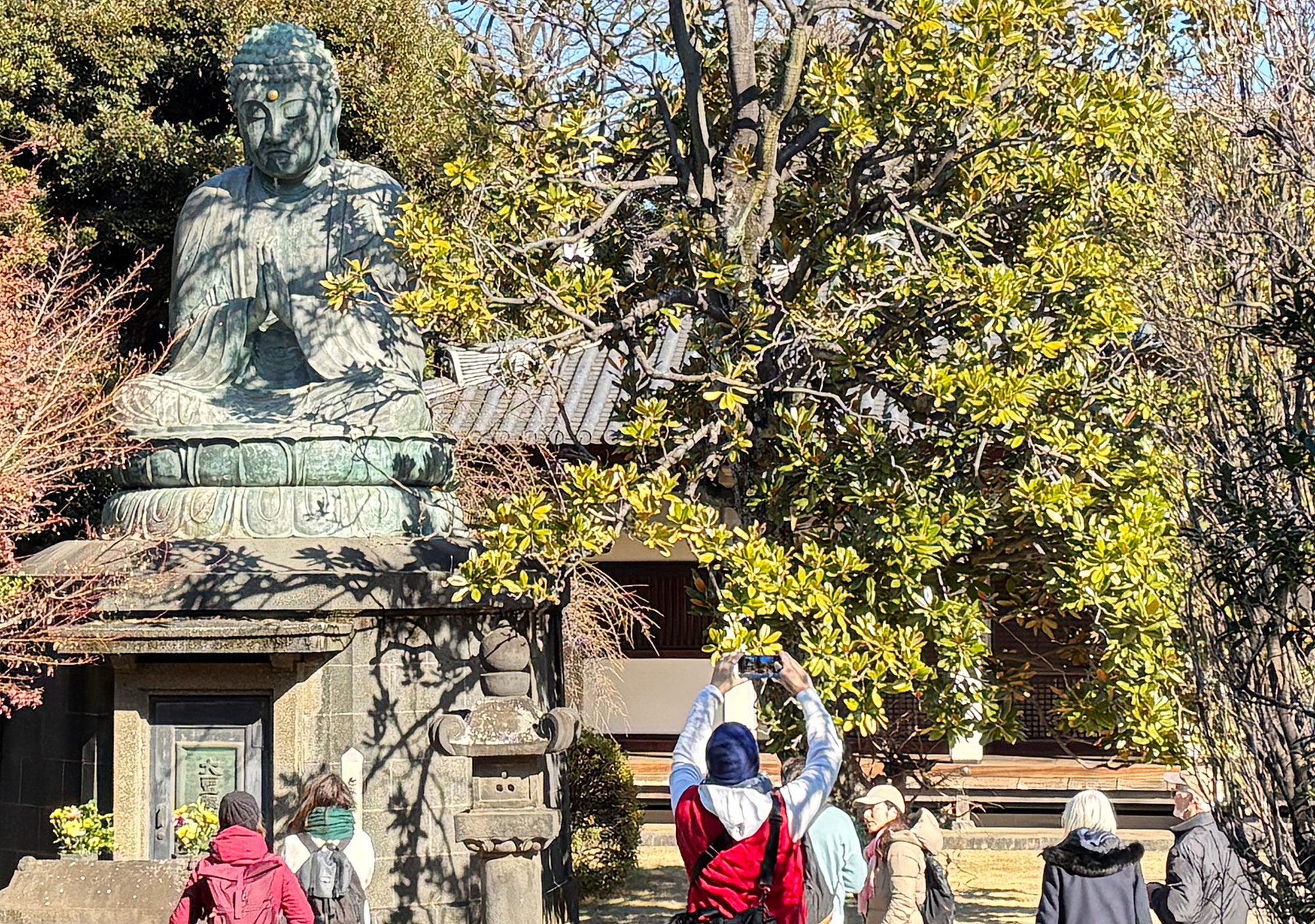 Yanaka District Heritage Walking Experience
