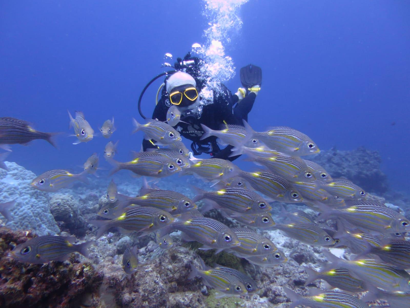 Belle Mare Scuba Discovery: East Coast Mauritius Dive