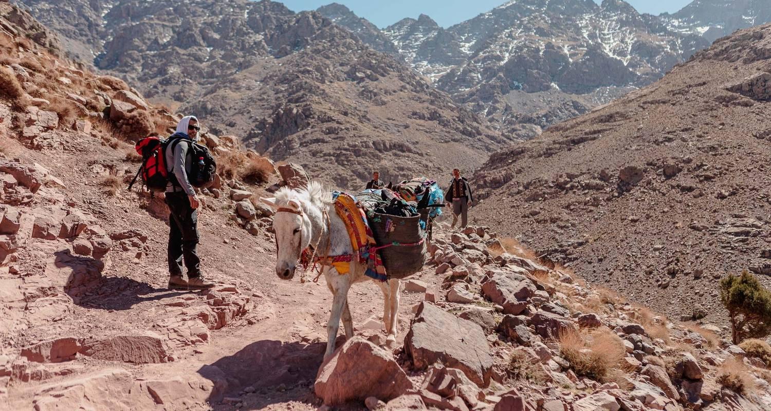 Atlas Mountains 3-Day Trek: Imlil to Ourika Valley