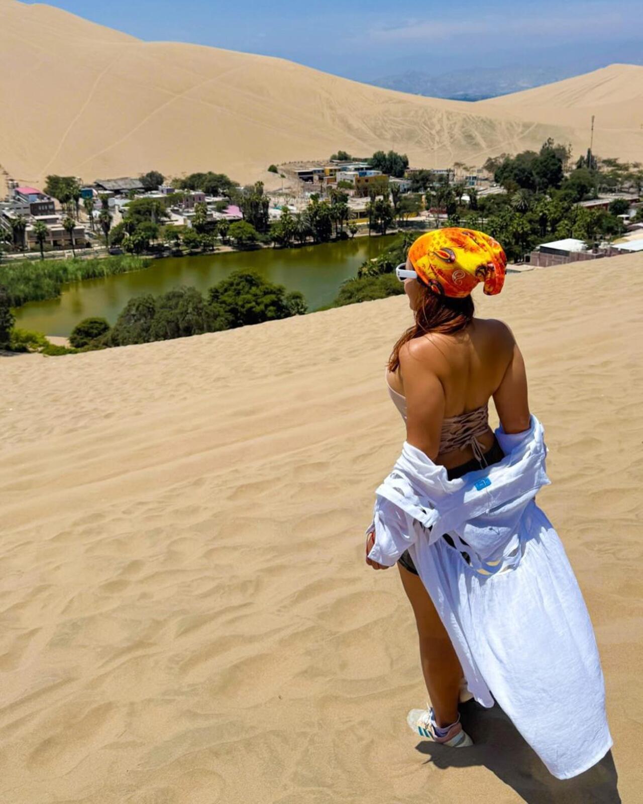 Excursión de un día a Paracas y Huacachina: vida silvestre, aventura en el desierto y cata de vinos