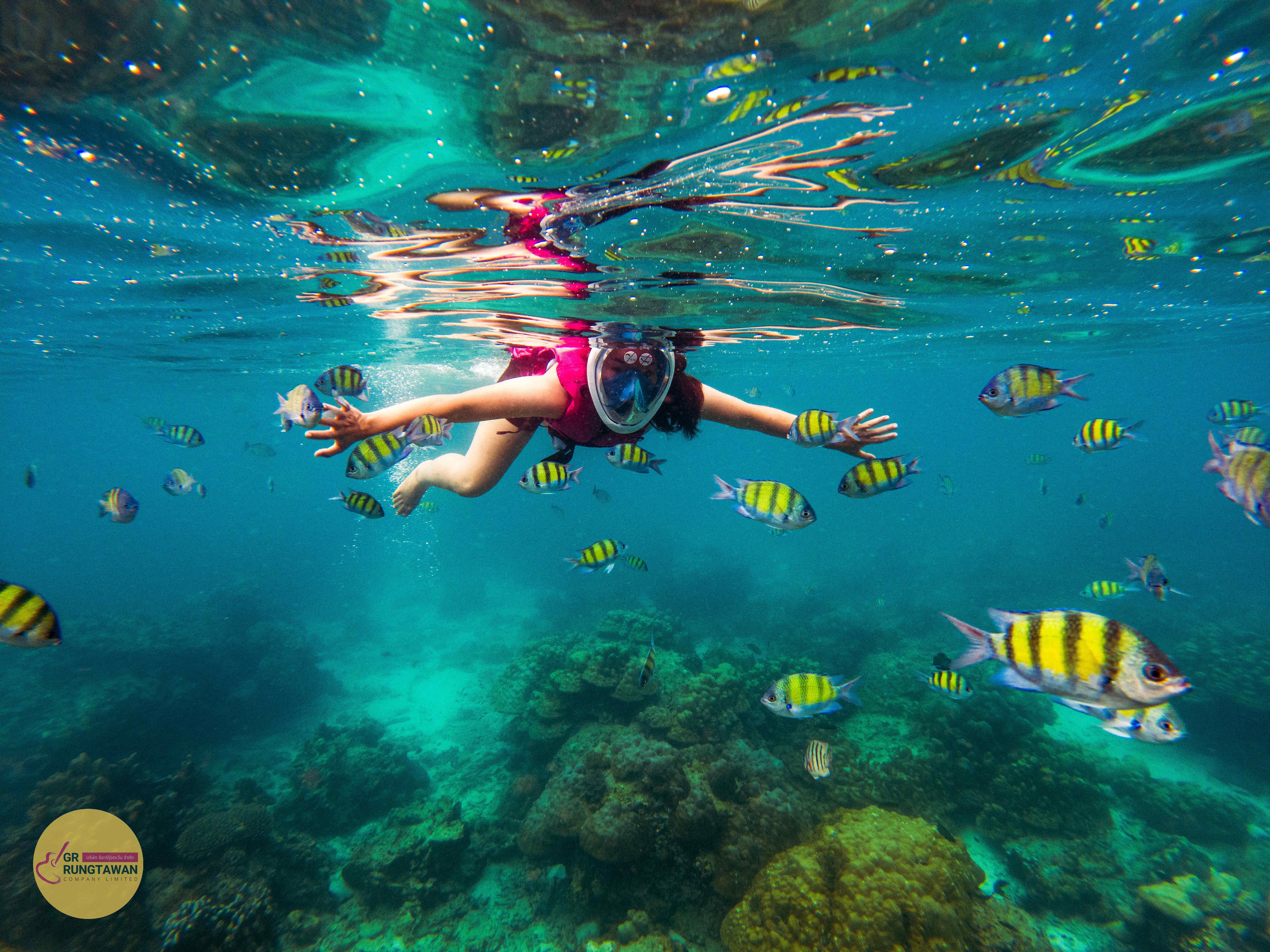 Krabi Hong Island Sunset & Bioluminescent Plankton Tour with BBQ Dinner