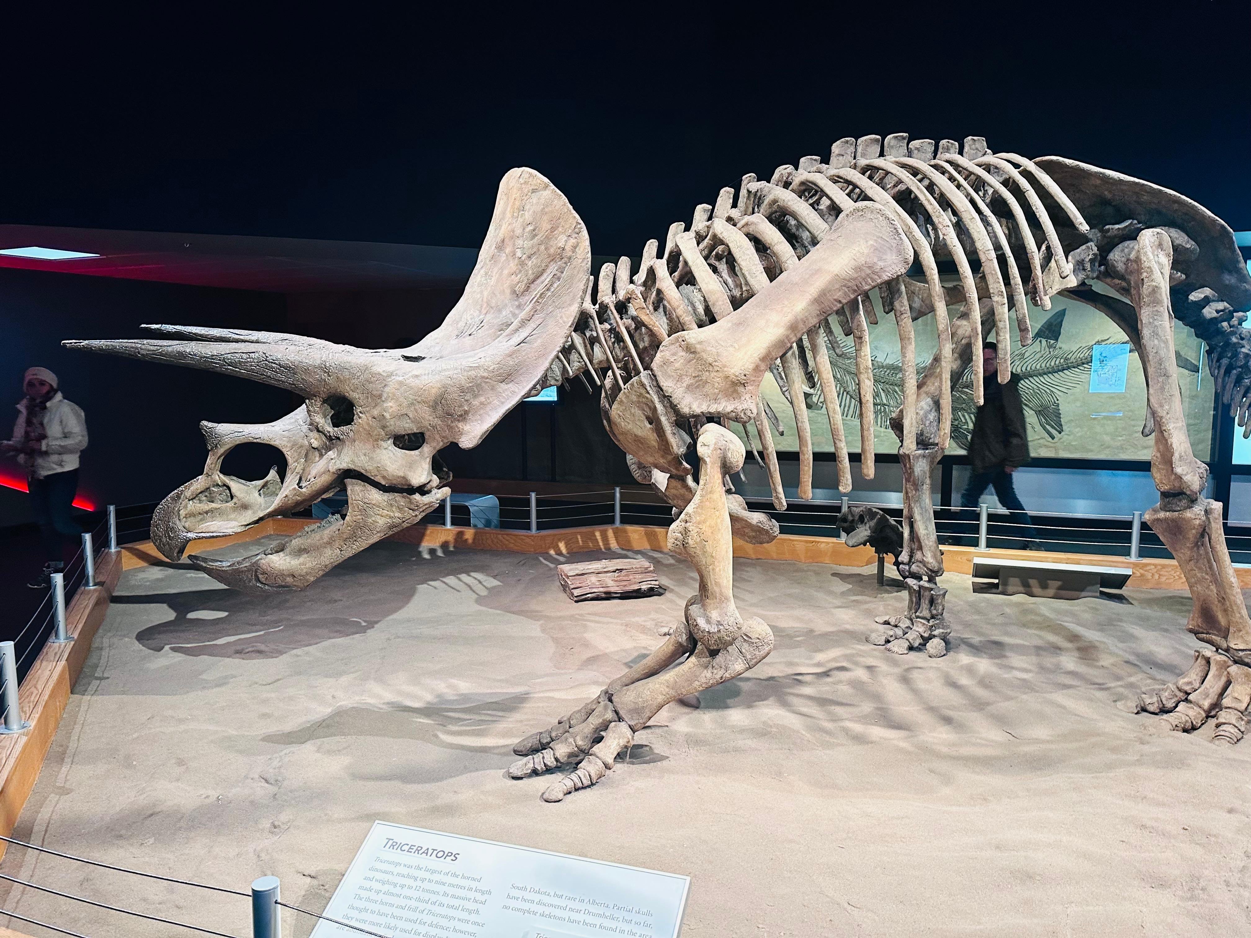 Drumheller Badlands Small Group Tour from Calgary