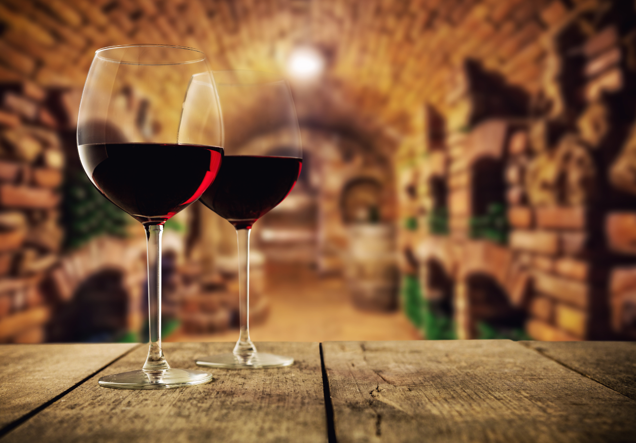 Strasbourg Cycling Wine Experience with Local Guide
