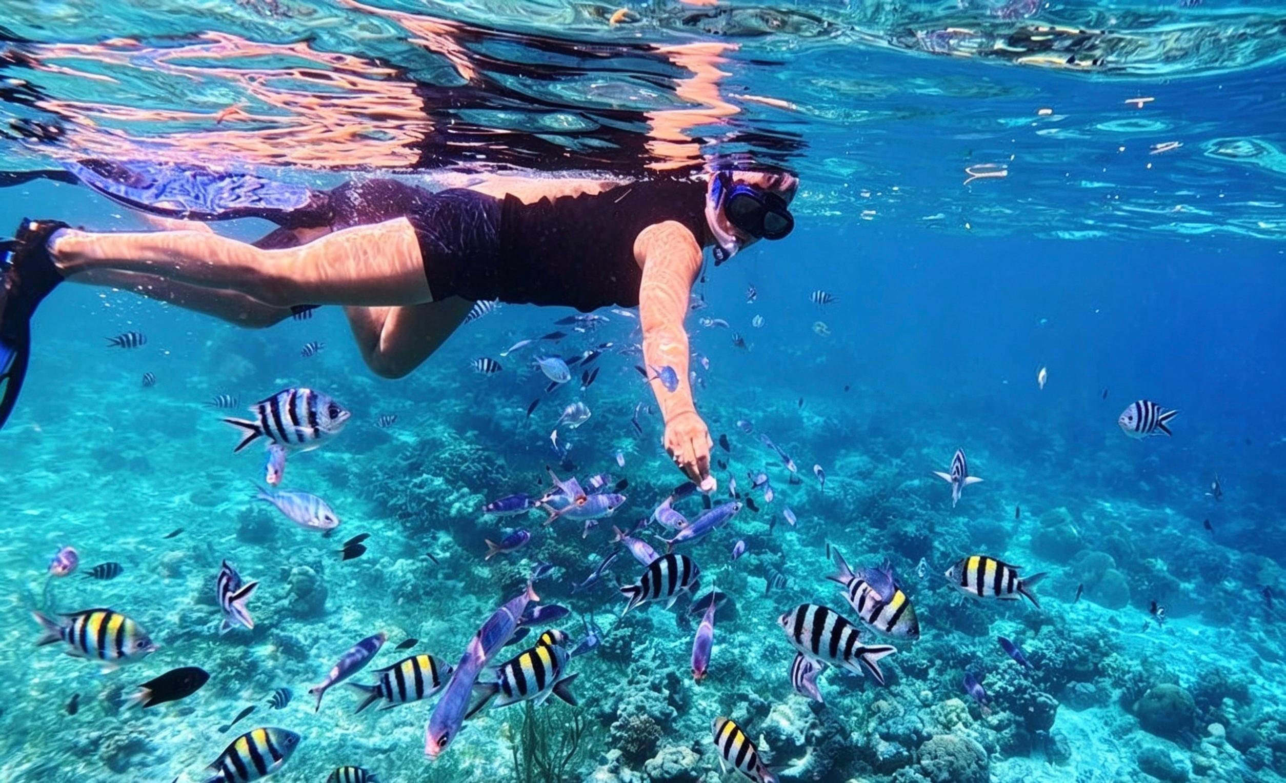 Mactan Island Hopping Boat Tour with Lunch
